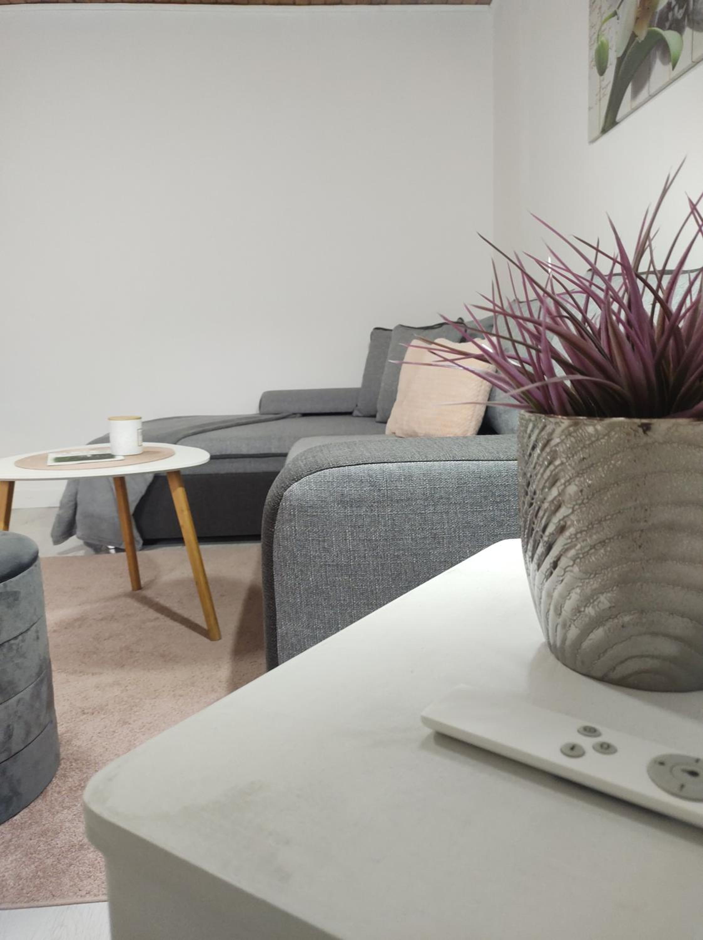 One Bedroom Apartment - Photo 13