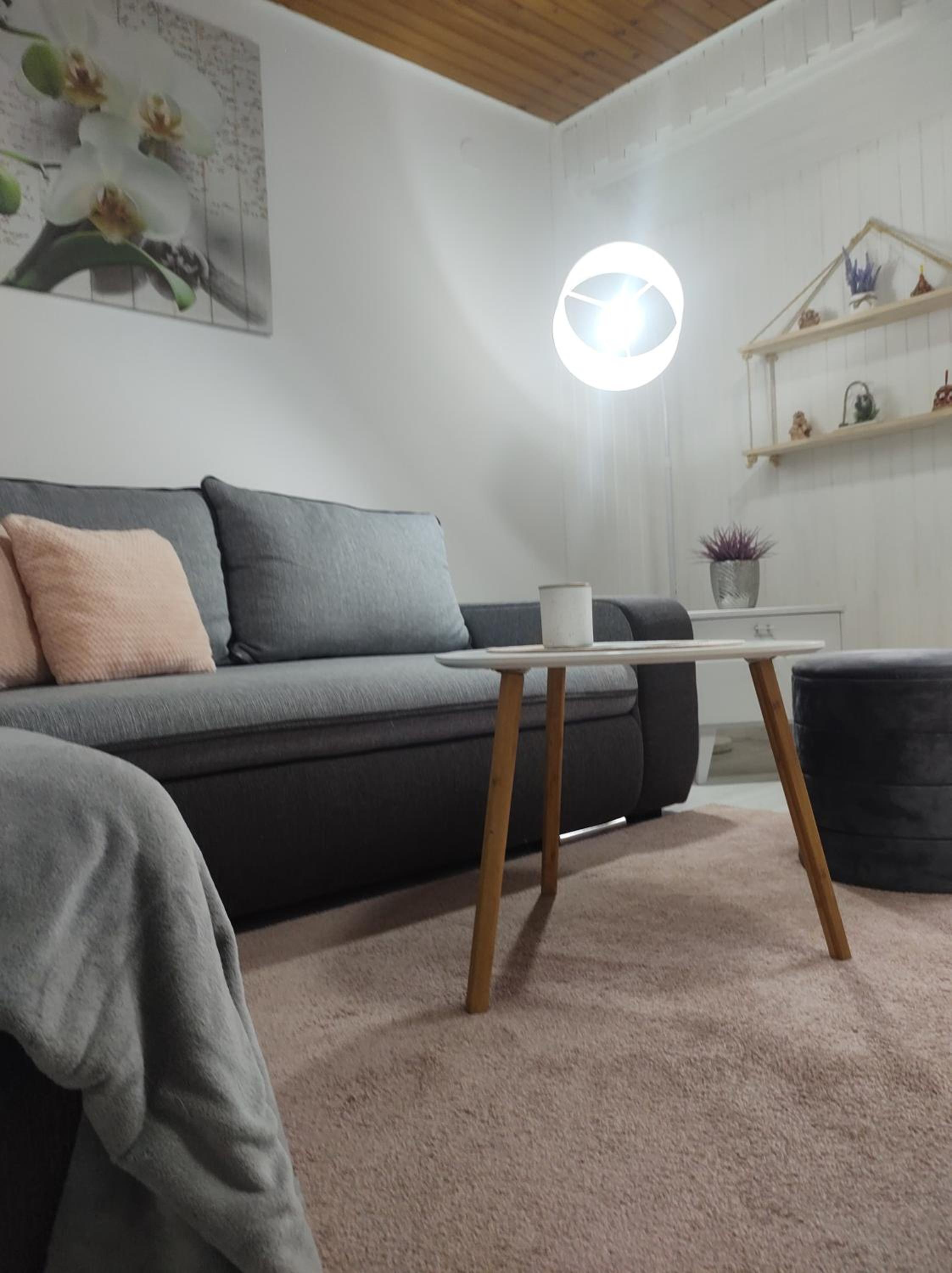 One Bedroom Apartment - Photo 8