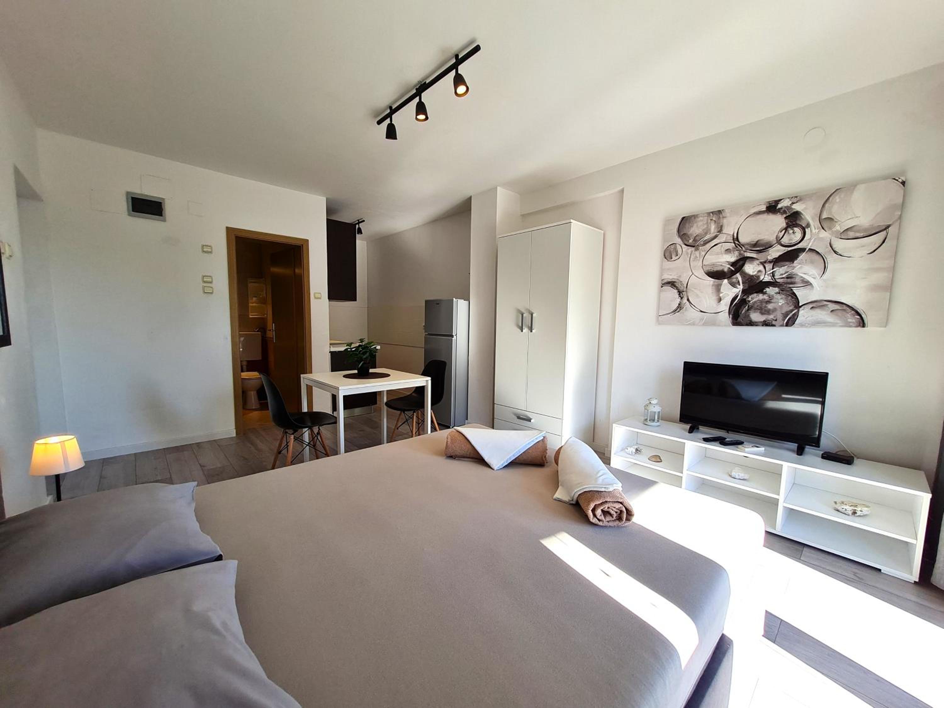 Studio Apartment photo 3