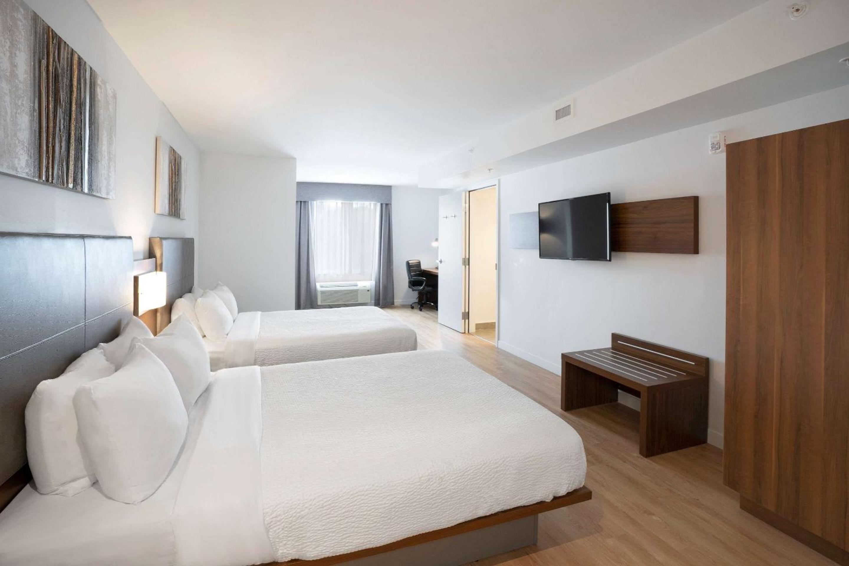 Queen Suite with Sofa Bed  - No Pets/Non Smoking - Photo 4