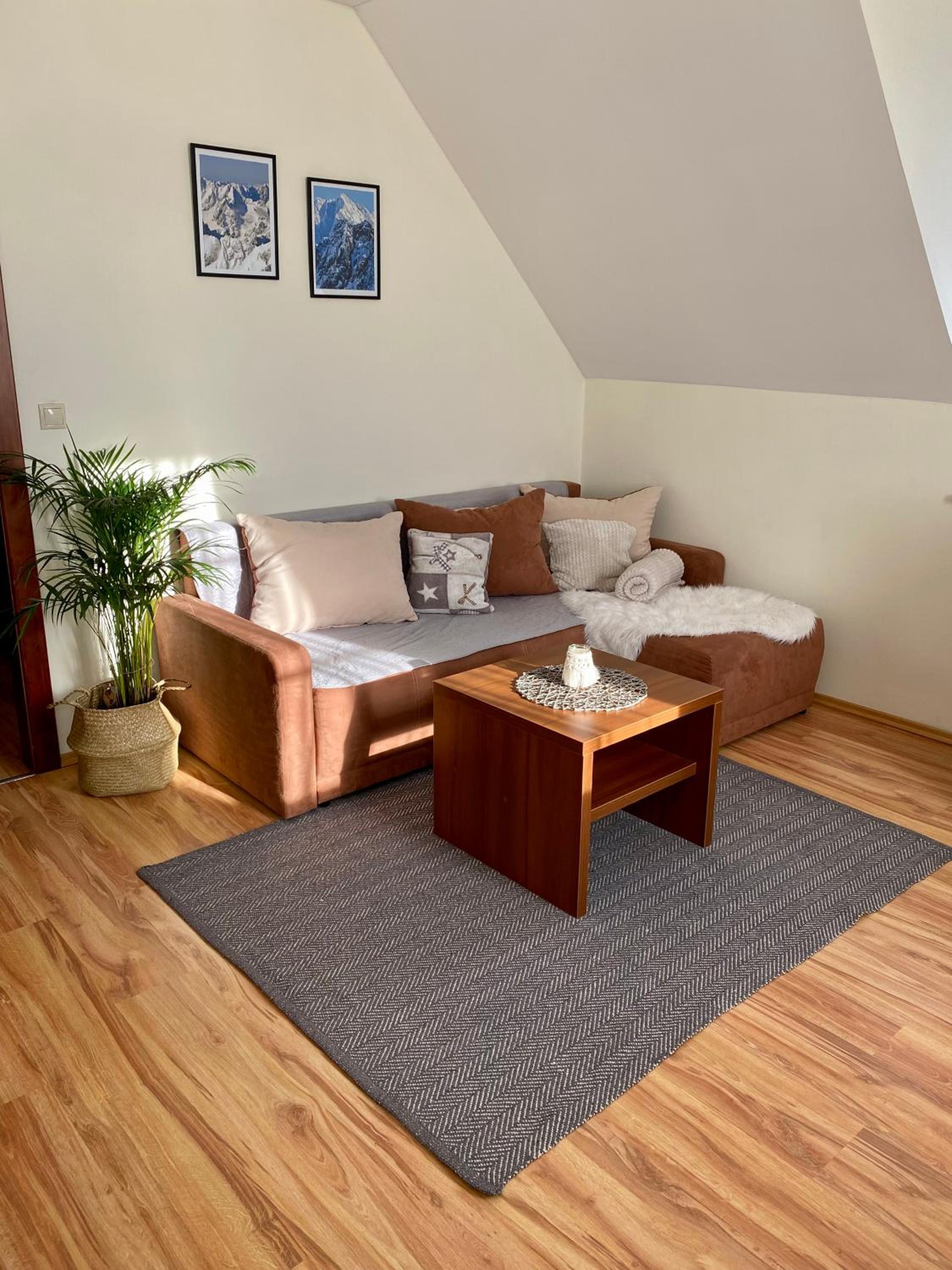Duplex Apartment photo 2