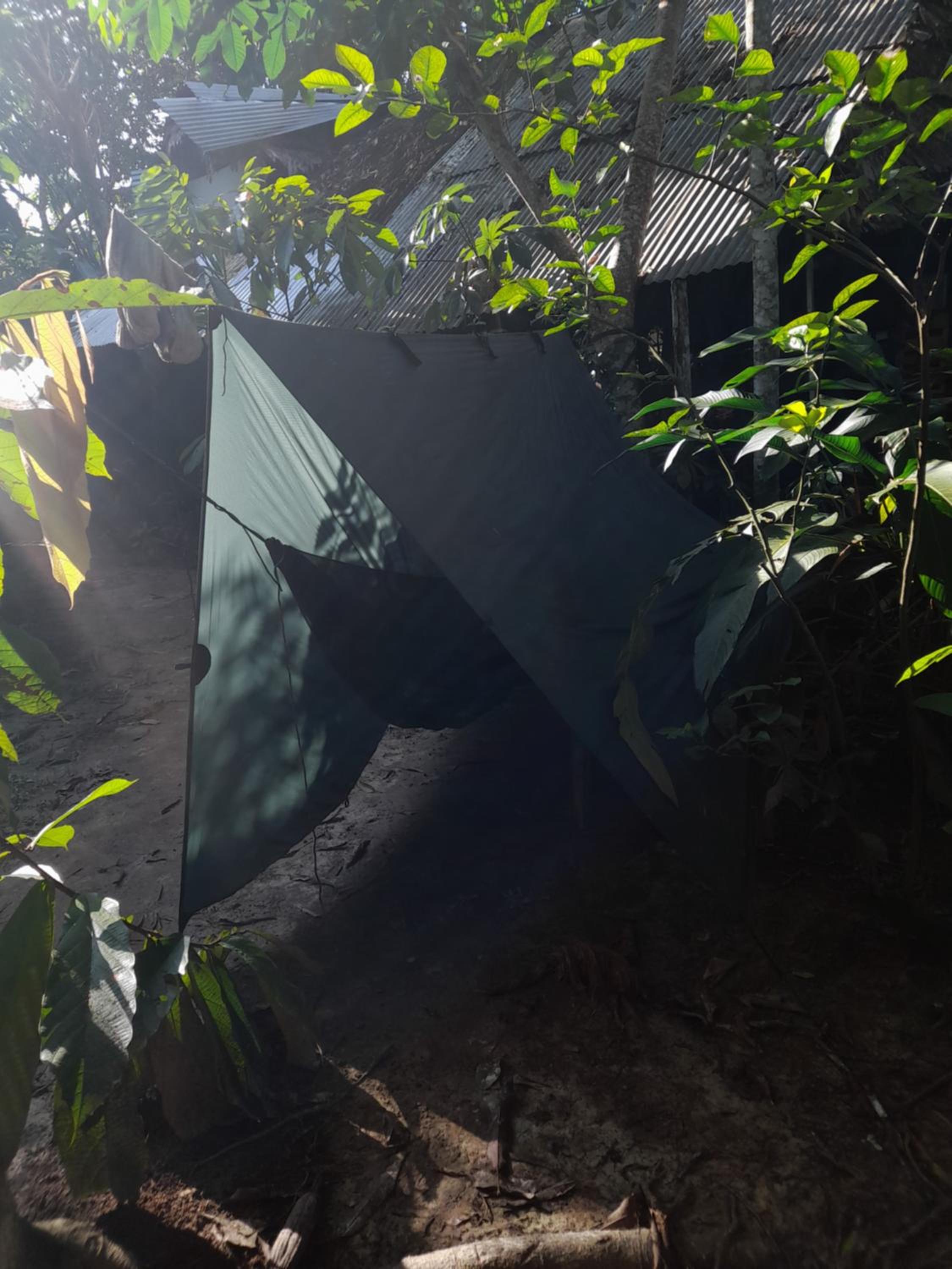 Hammock in Mixed Dormitory Room photo 1
