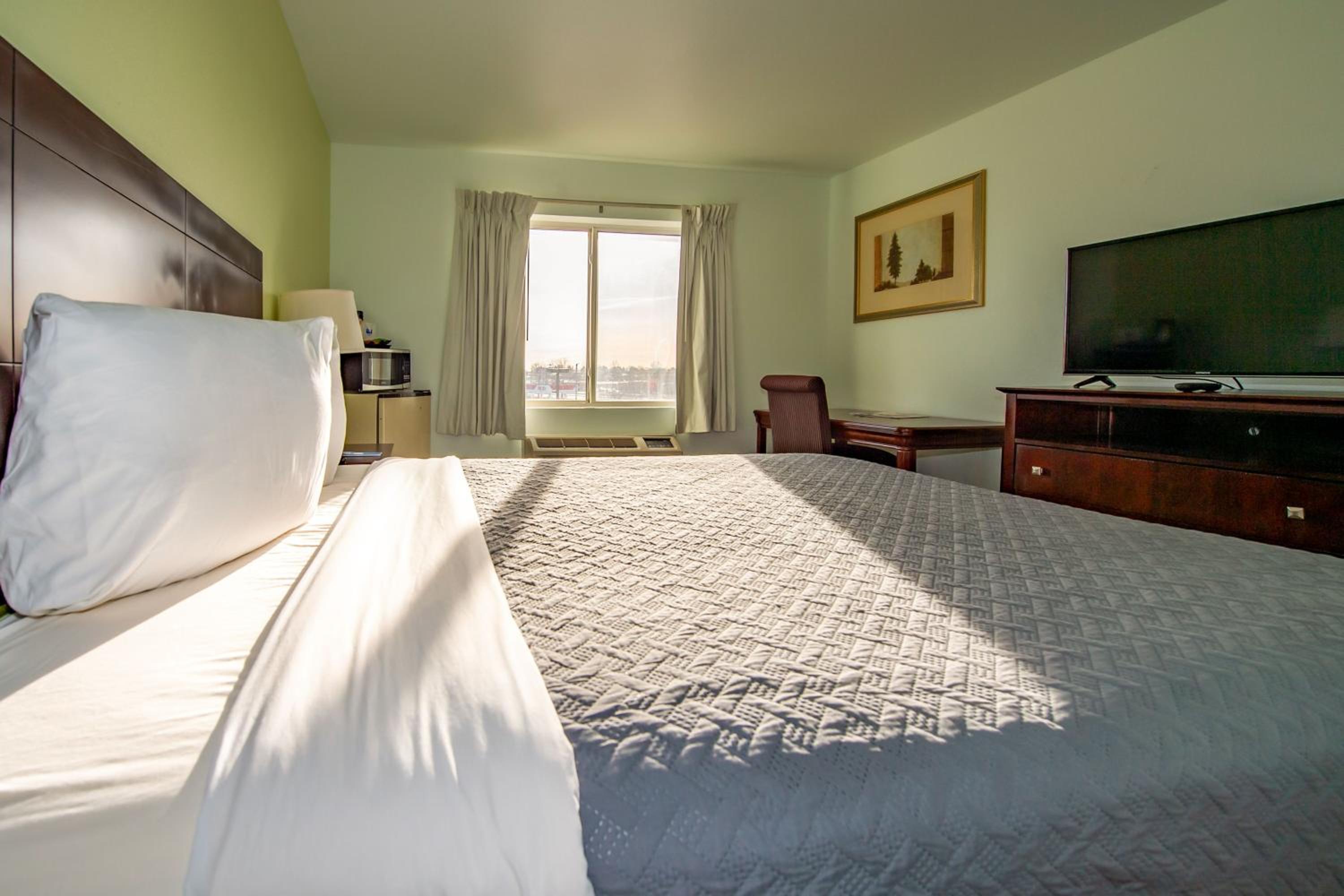 Superior Queen Room - Non-Smoking - Photo 1