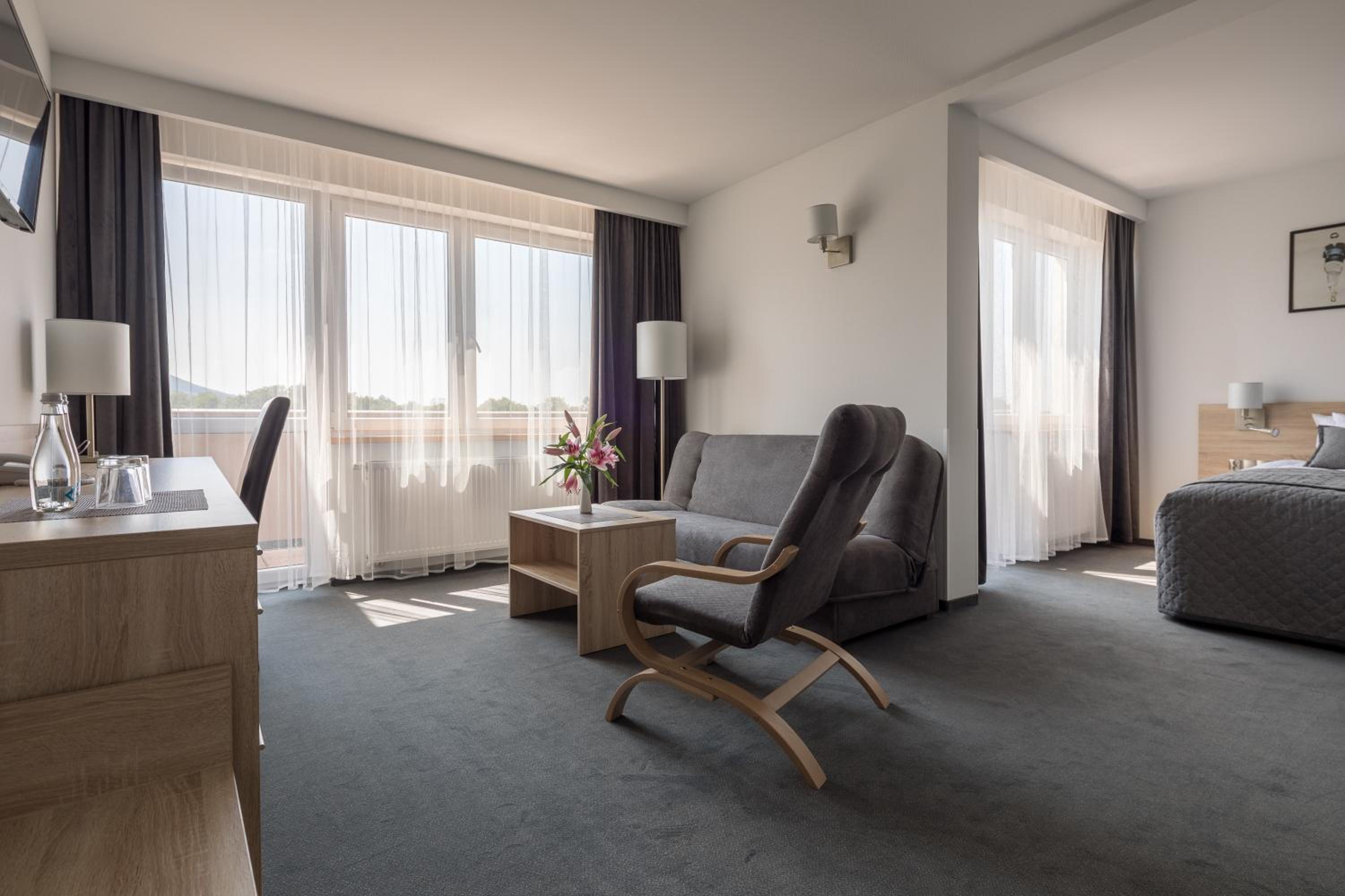 Deluxe Suite - Photo 2