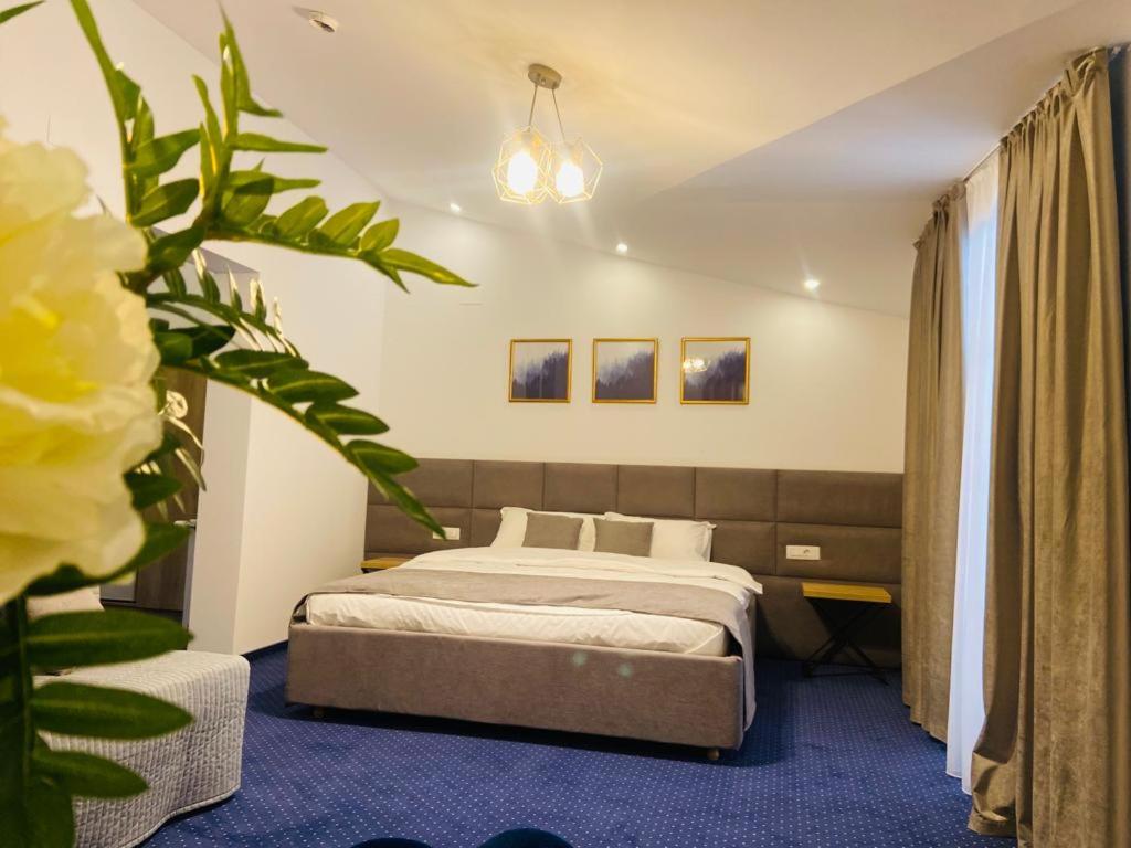 Family Suite photo 1