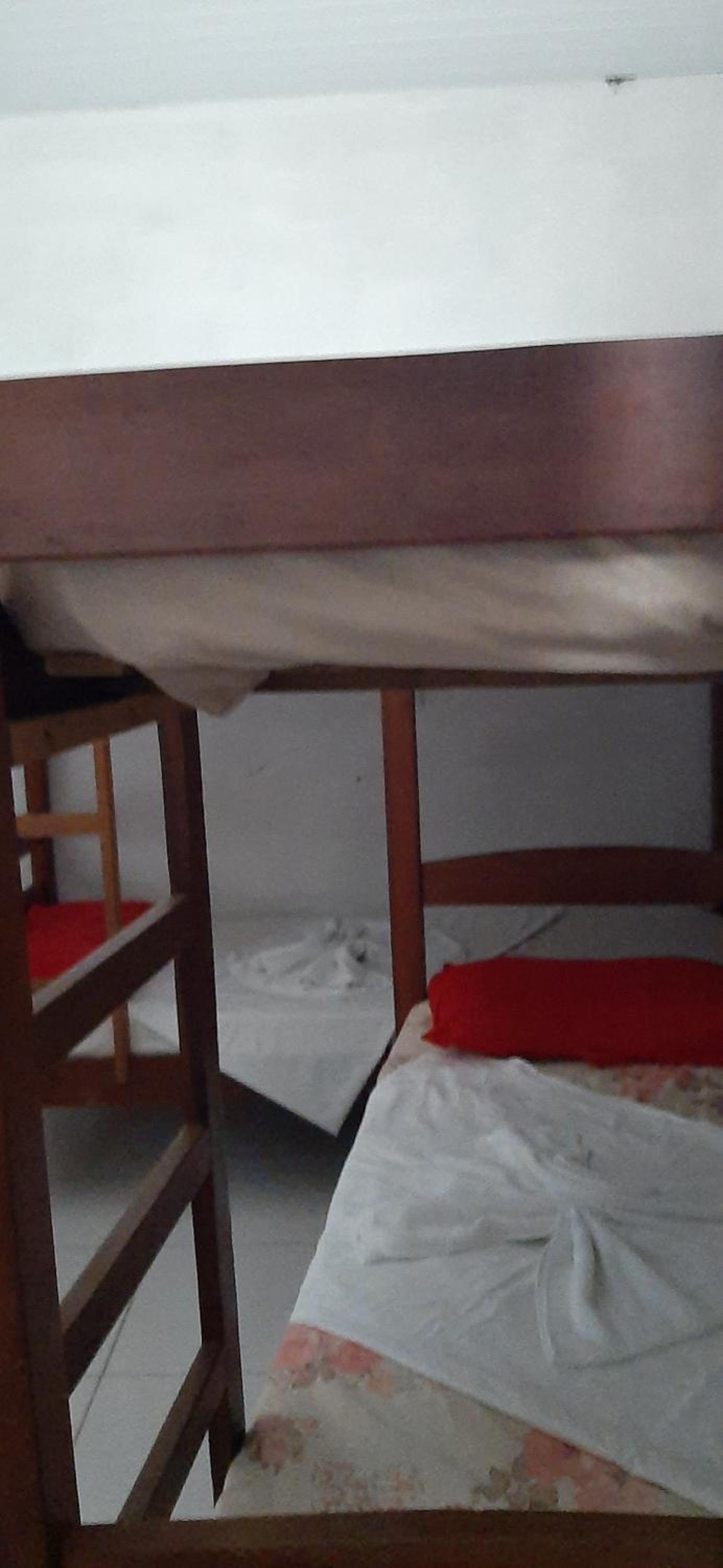 Bunk Bed in Mixed Dormitory Room photo 3