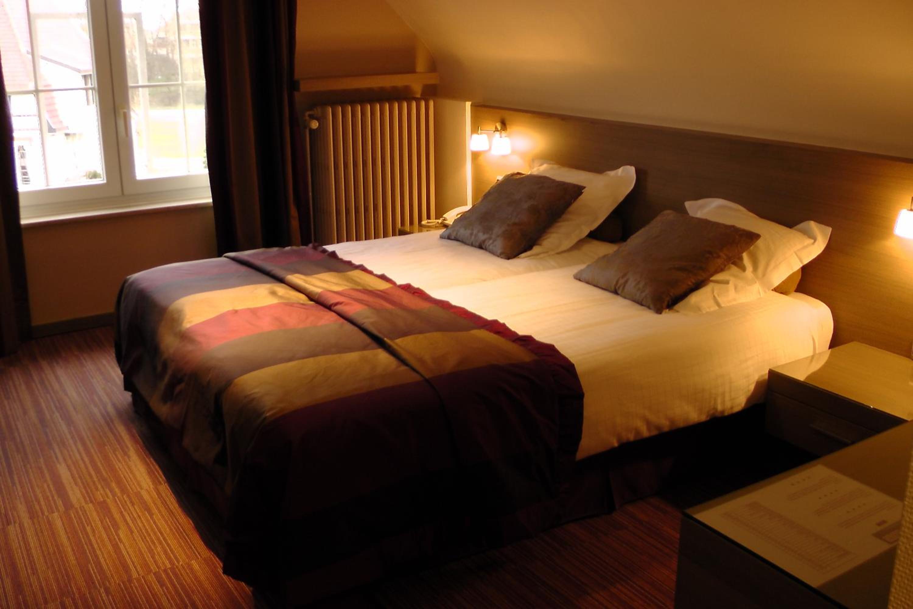 Deluxe Double or Twin Room - Photo 10