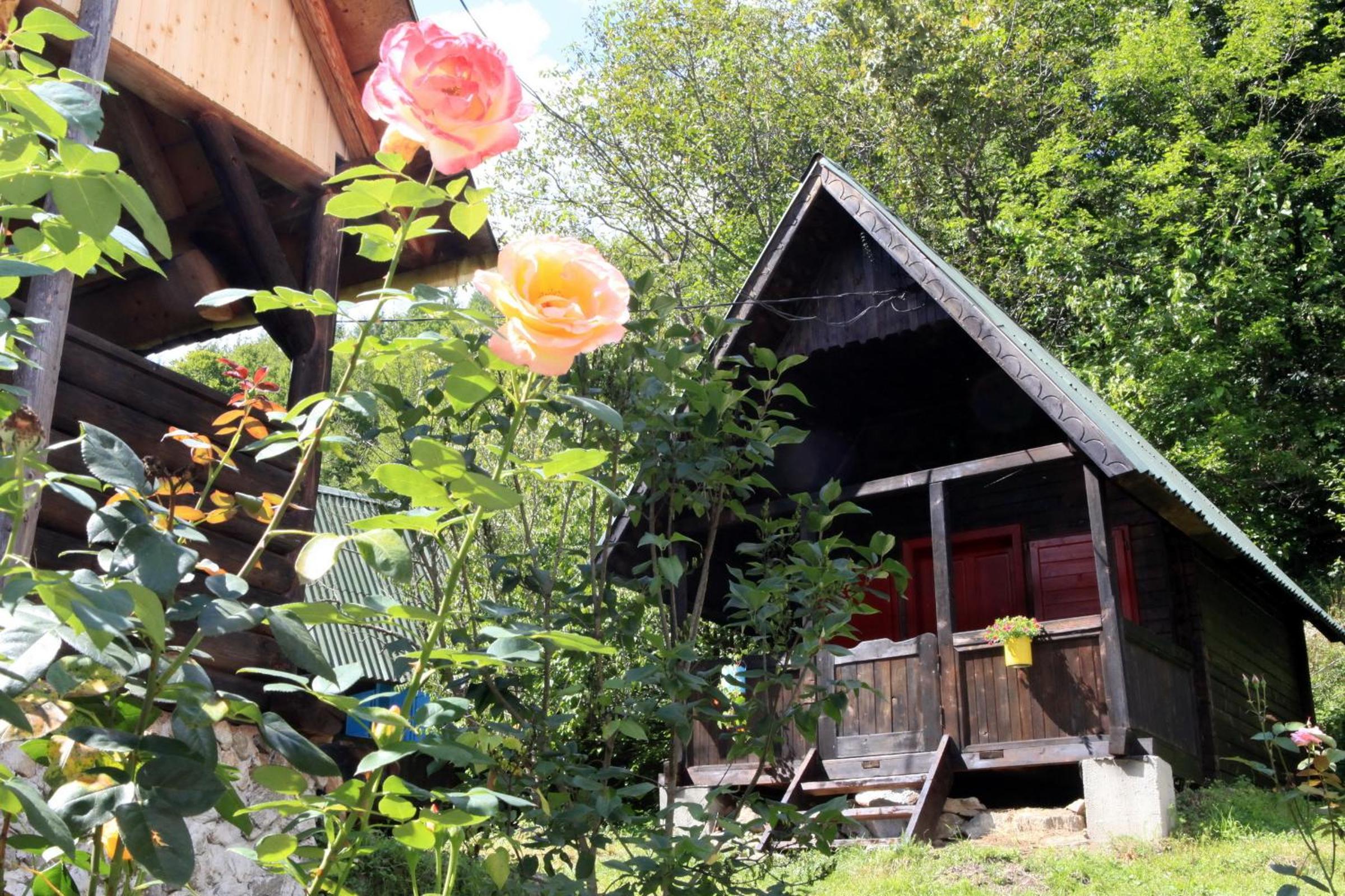 Bungalow With Garden View photo 2