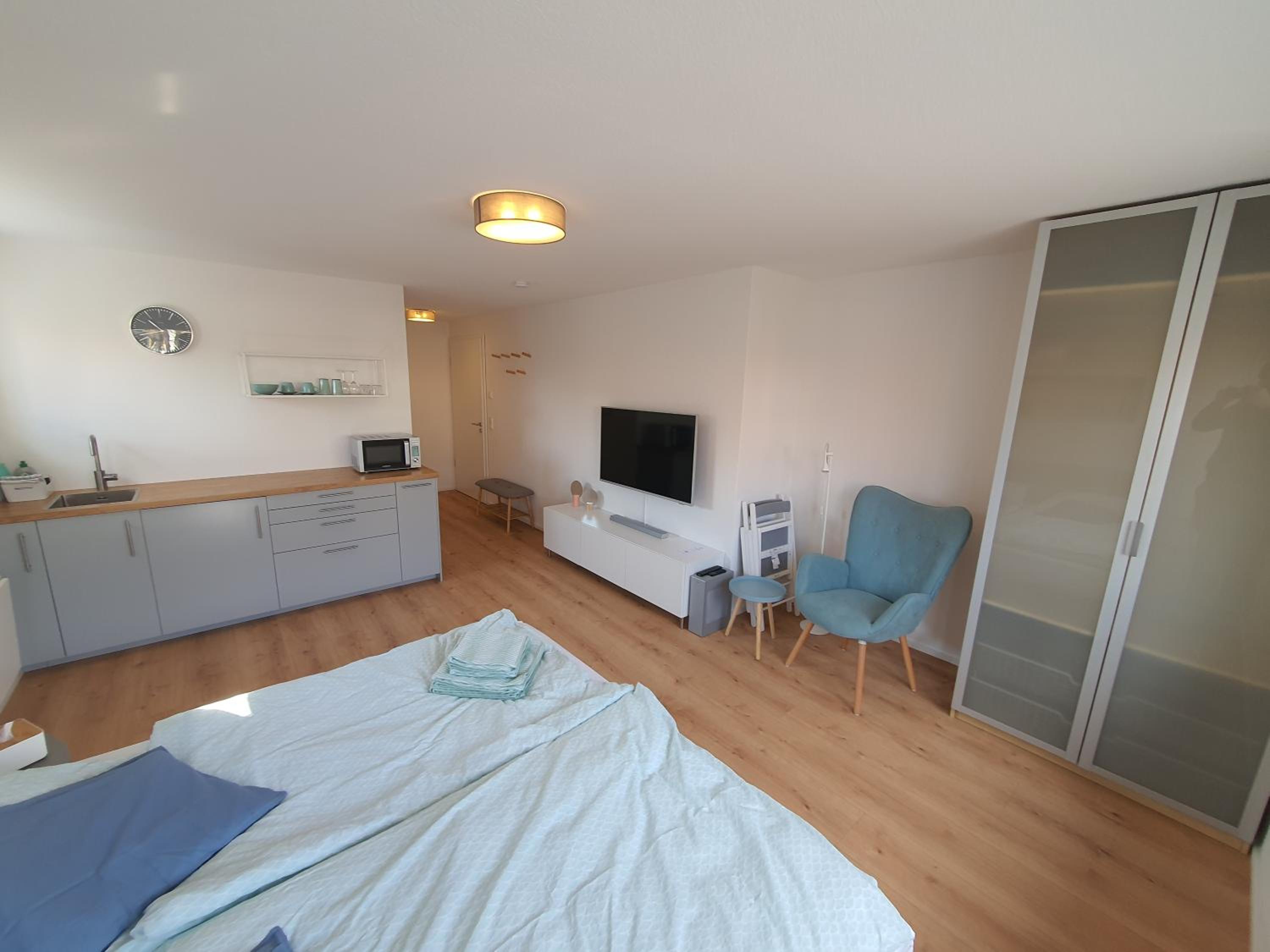One-Bedroom Apartment - Photo 3