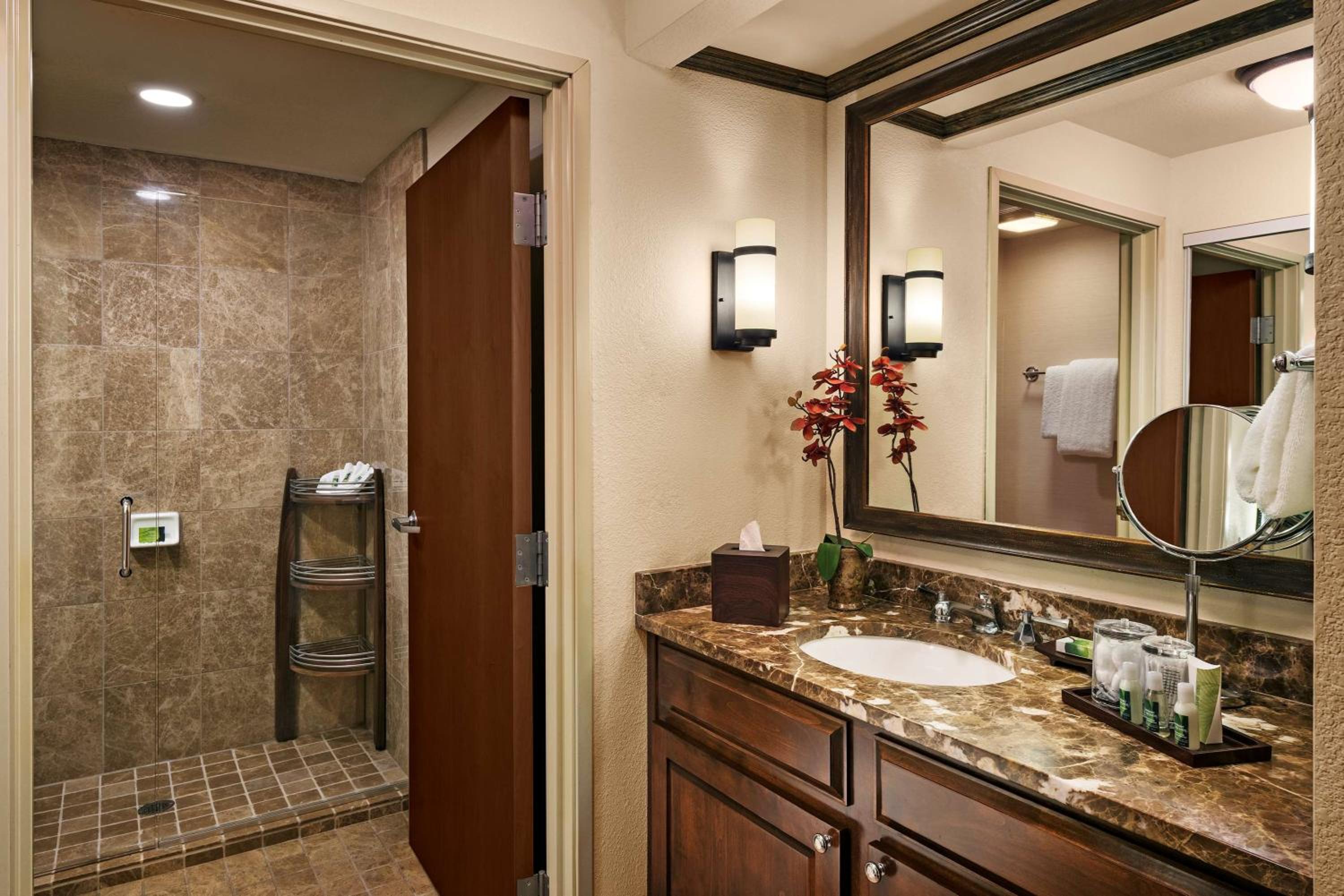 Studio Suite with Courtyard View photo 3