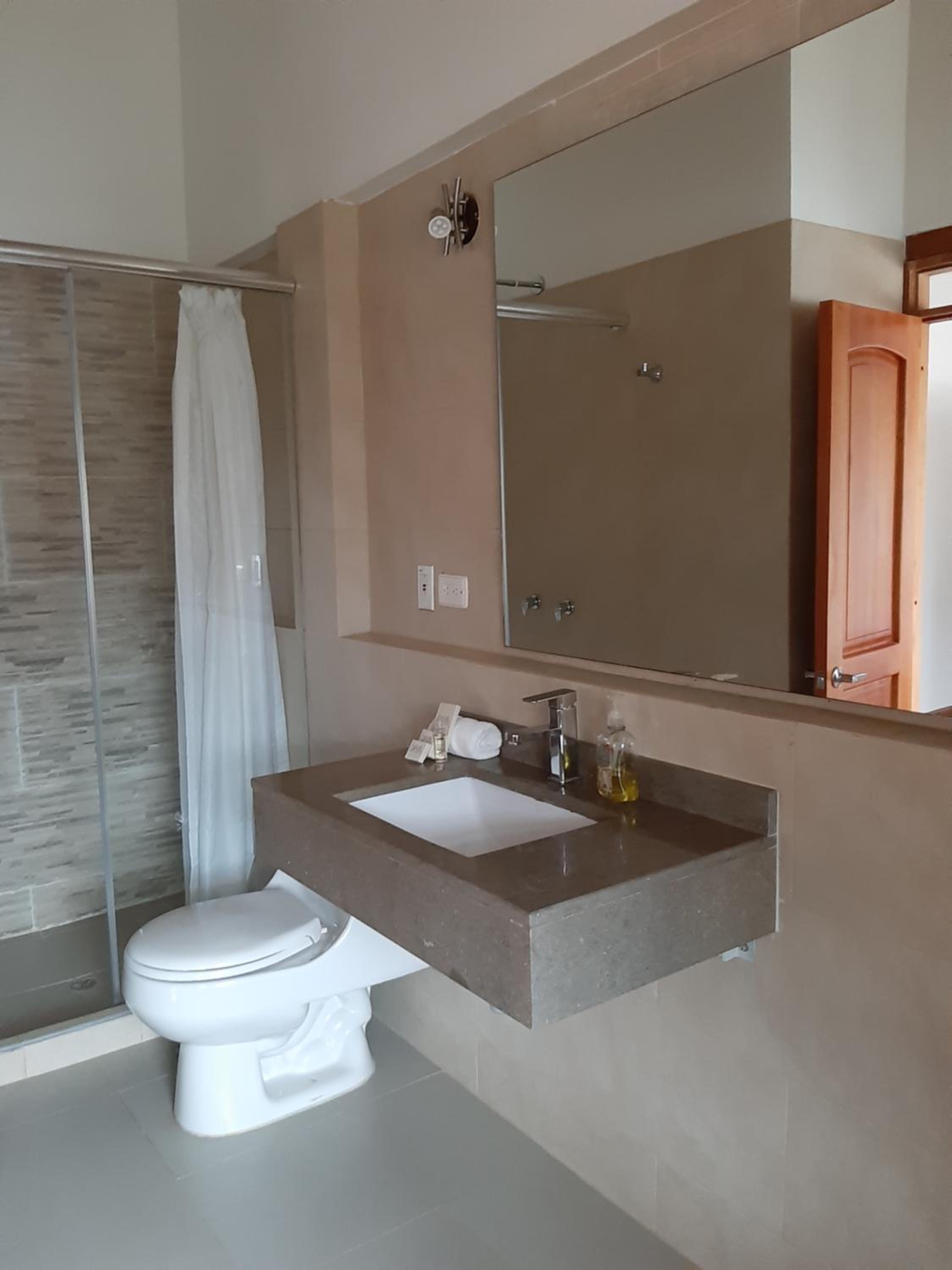 King Suite with Spa Bath photo 3