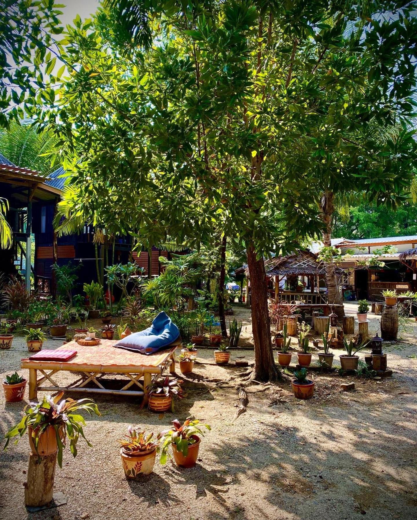 Double Room with Patio