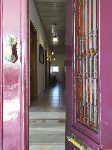 Studio with Terrace photo 1