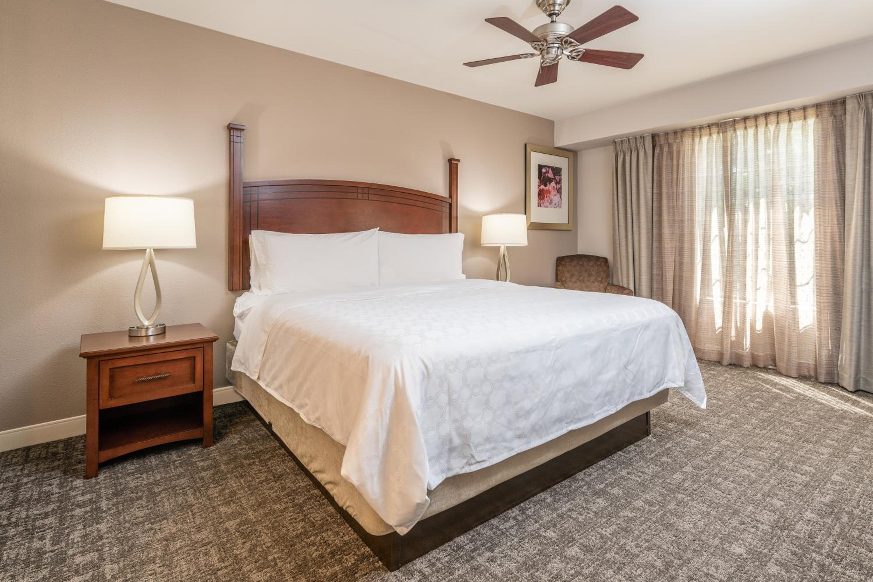 One-Bedroom King Suite - Photo 4