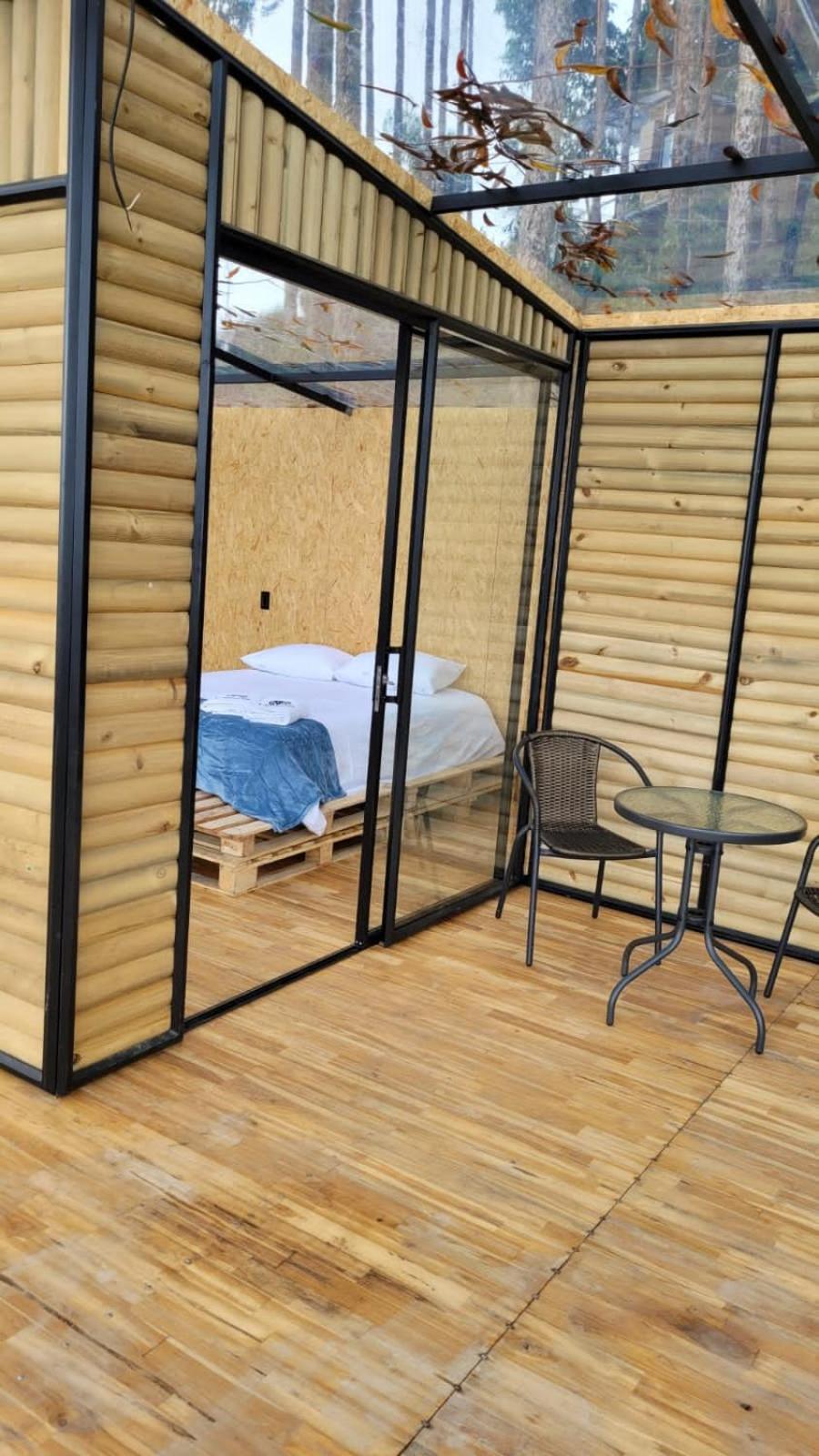 Double Room with Terrace photo 1
