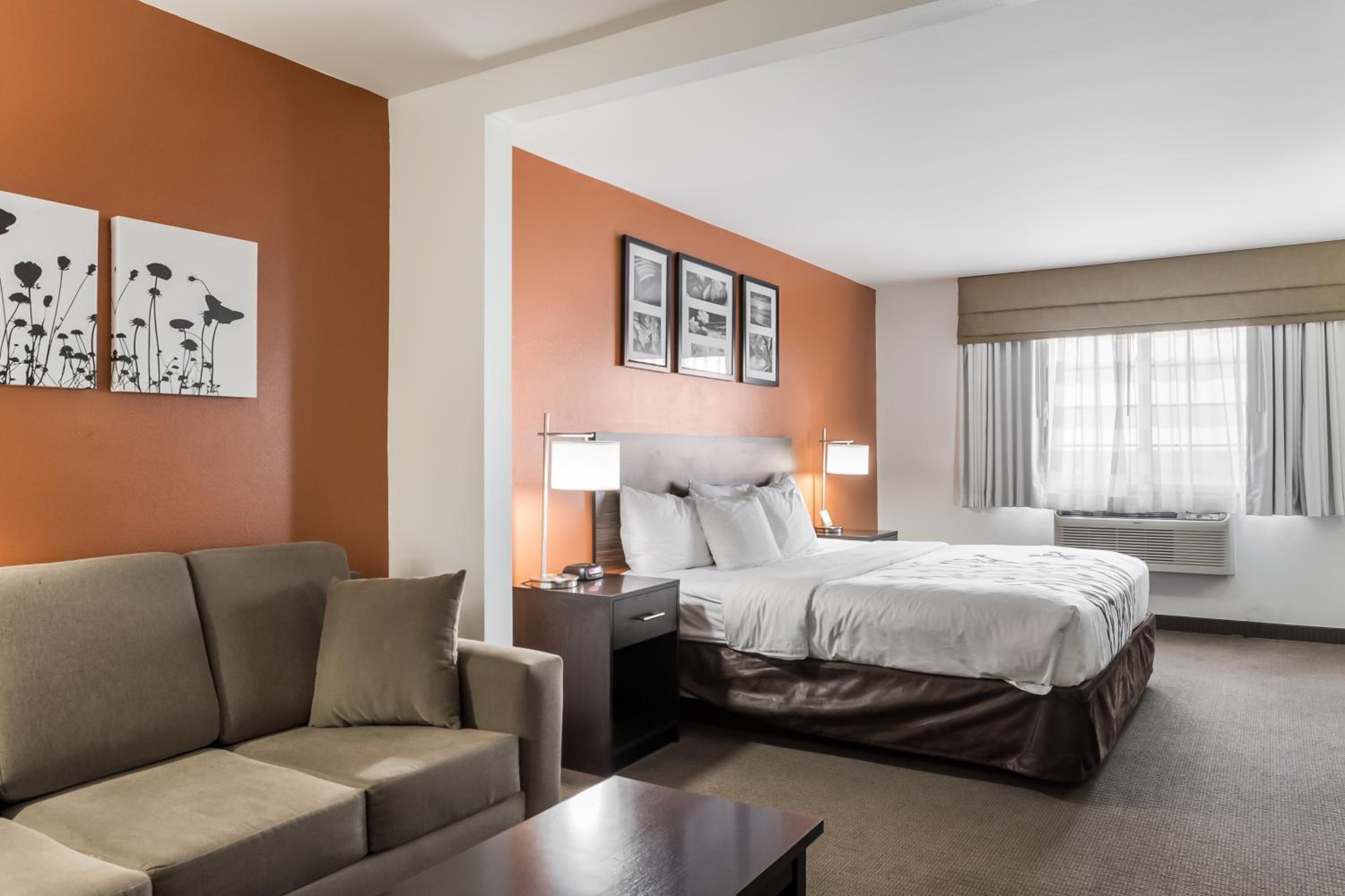 King Suite with Sofa Bed - Non-Smoking - Photo 5