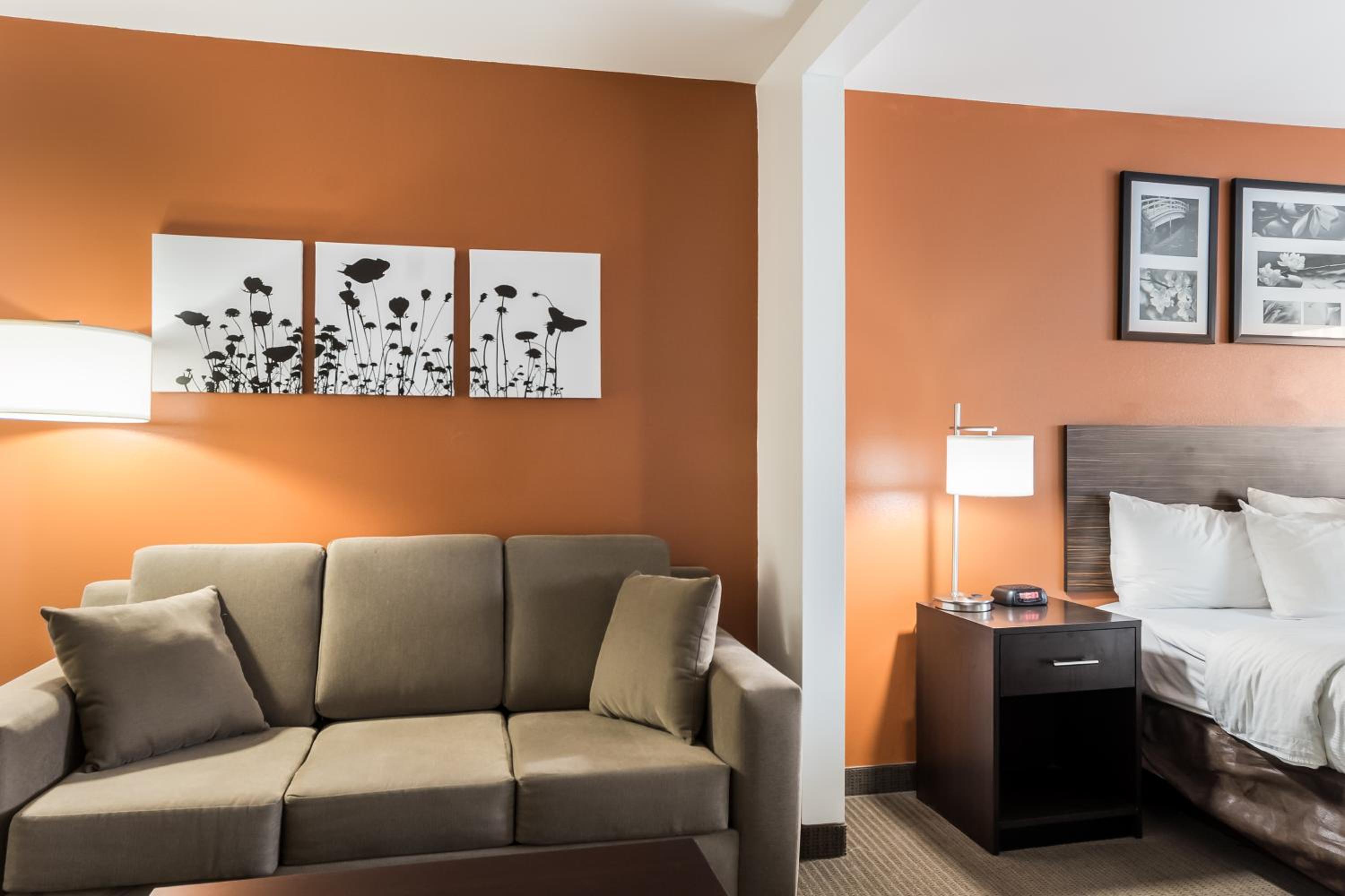 King Suite with Sofa Bed - Non-Smoking - Photo 6