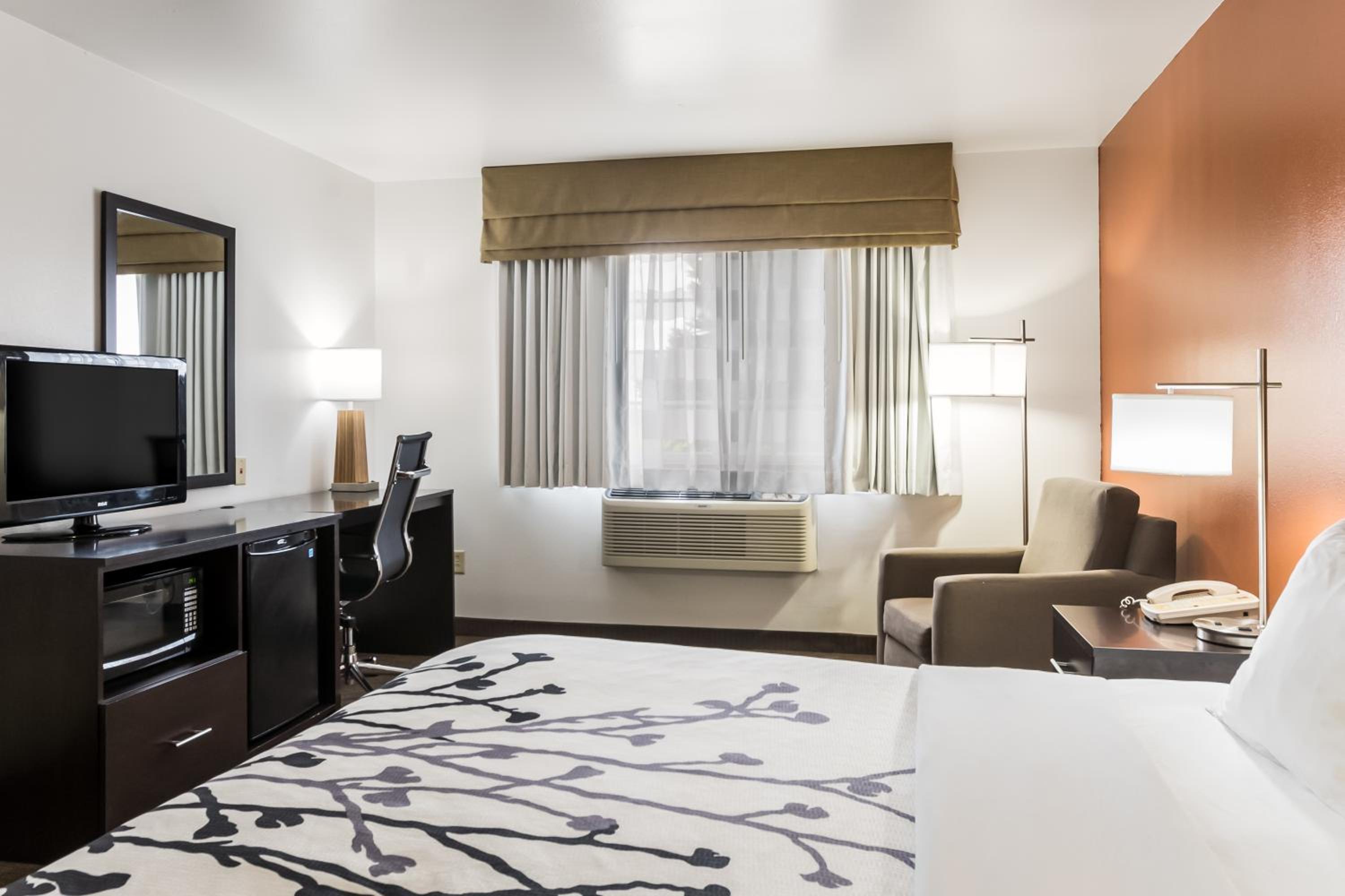 King Room - Accessible/Non-Smoking - Photo 4