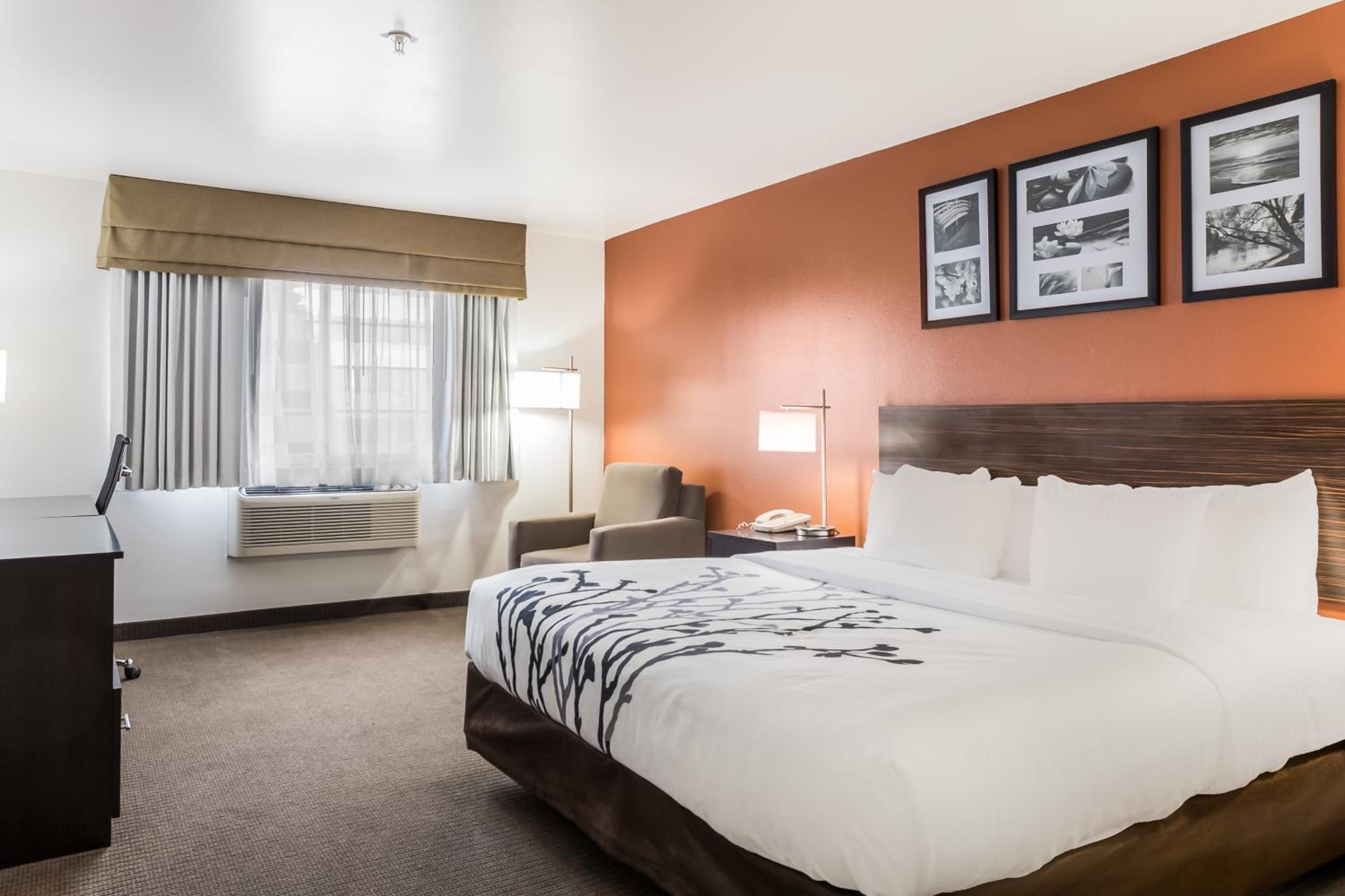 King Room - Accessible/Non-Smoking - Photo 1