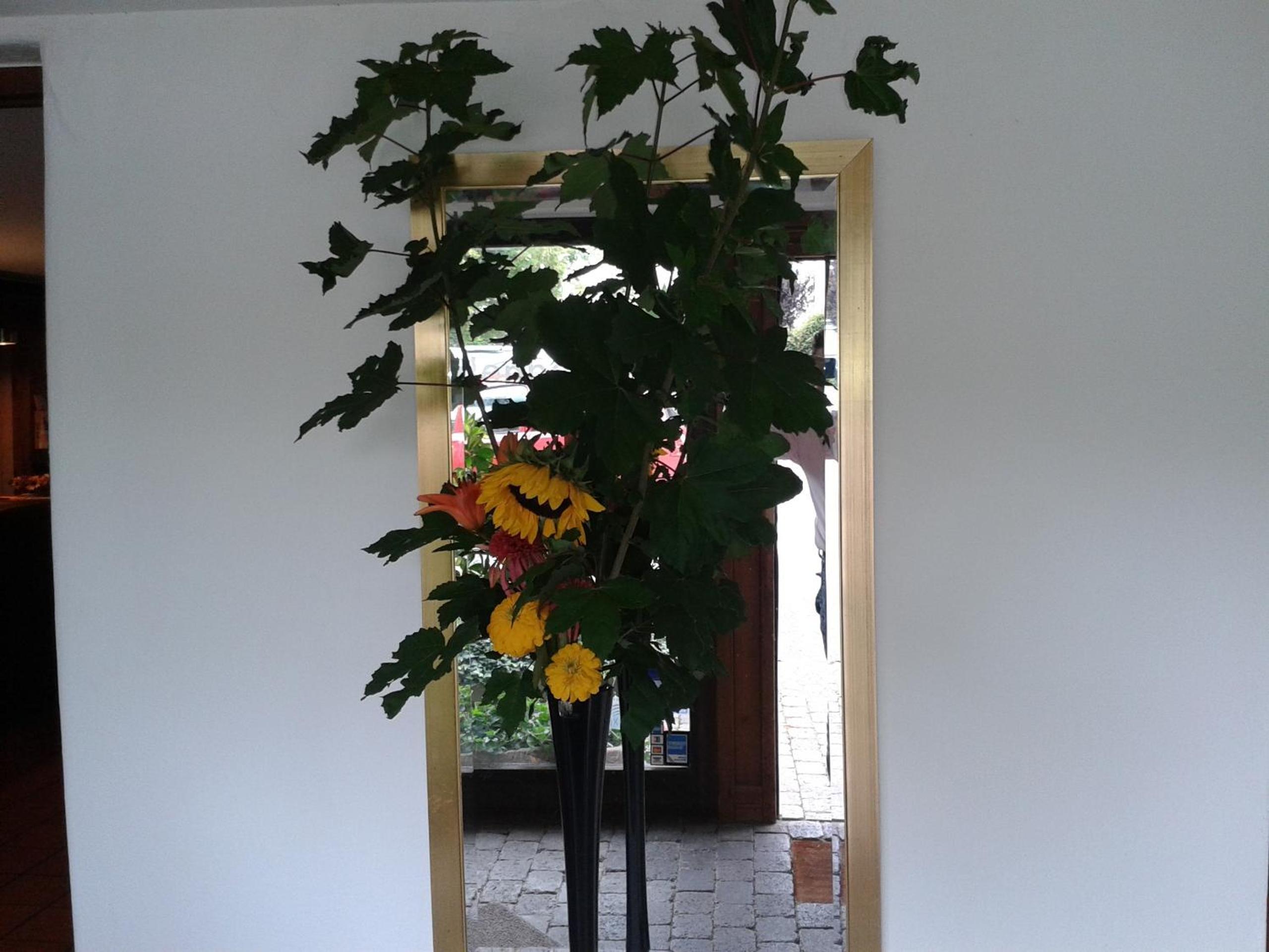Studio with Balcony and Garden View photo 3