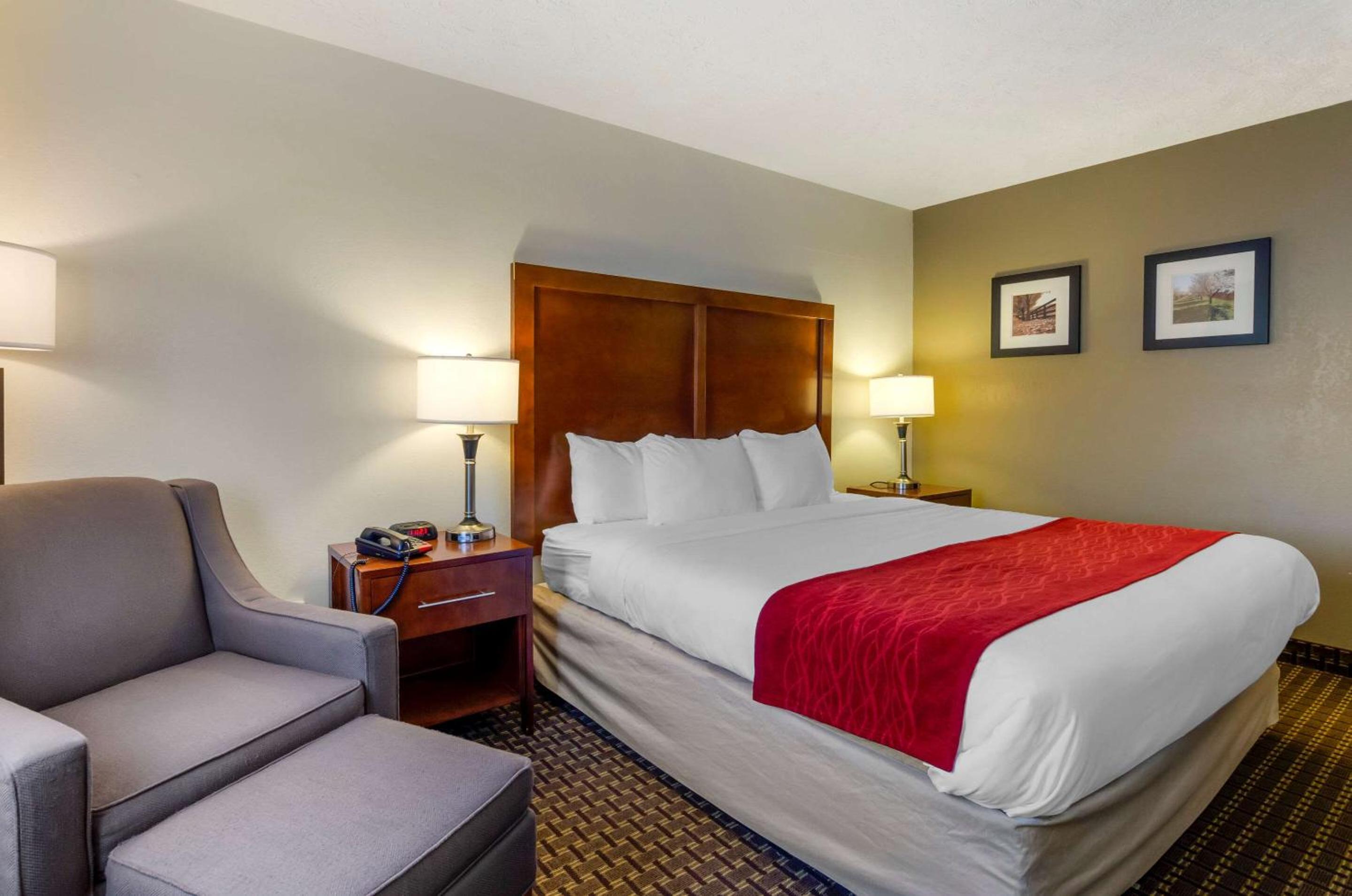 King Room - Non-Smoking - Photo 2