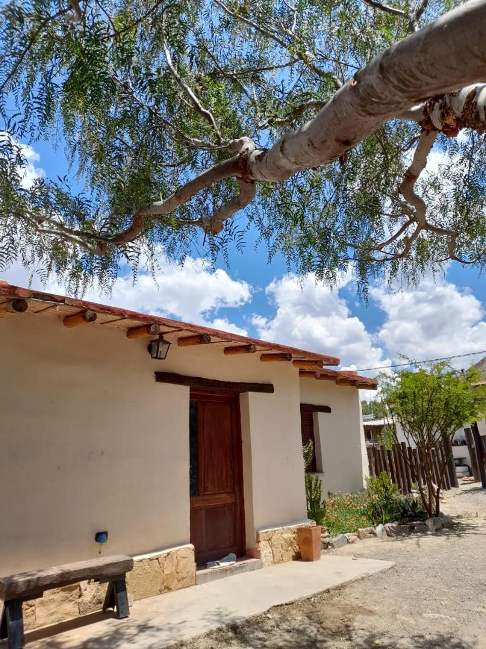 One-Bedroom House photo 3