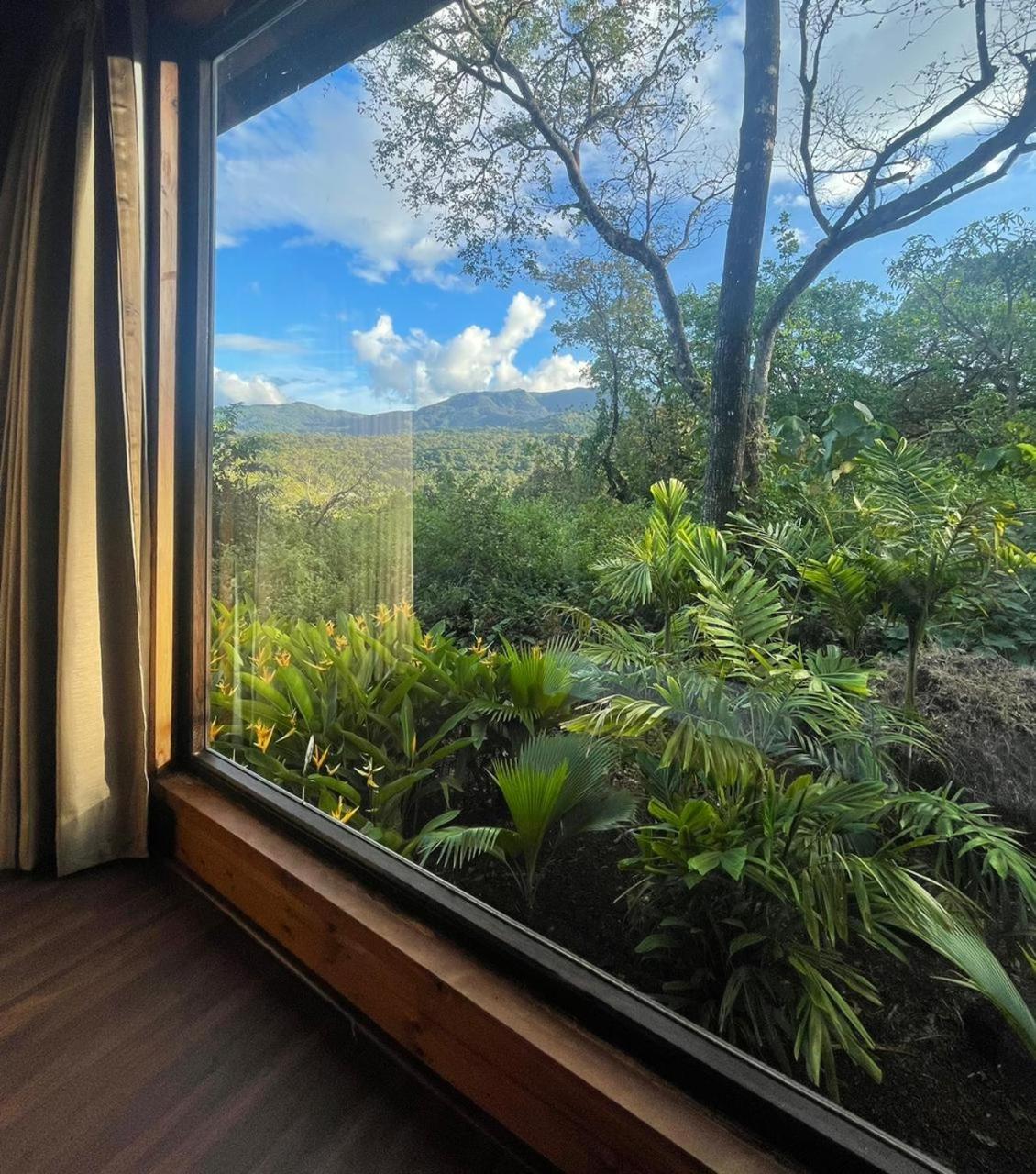 Luxury room with private terrace