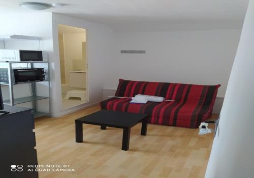 Studio with Sofa Bed