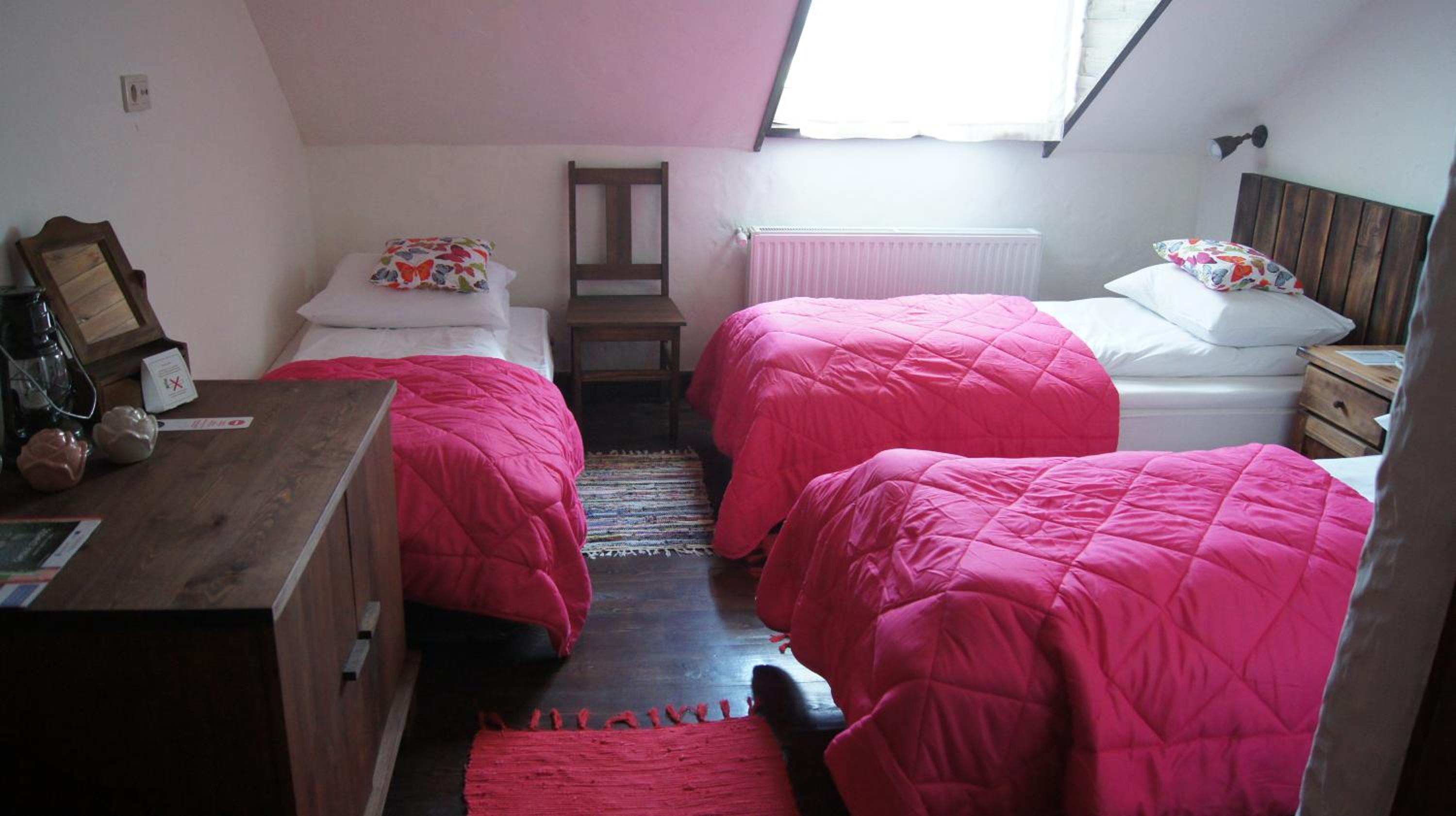 Triple Room with Shower - Photo 6