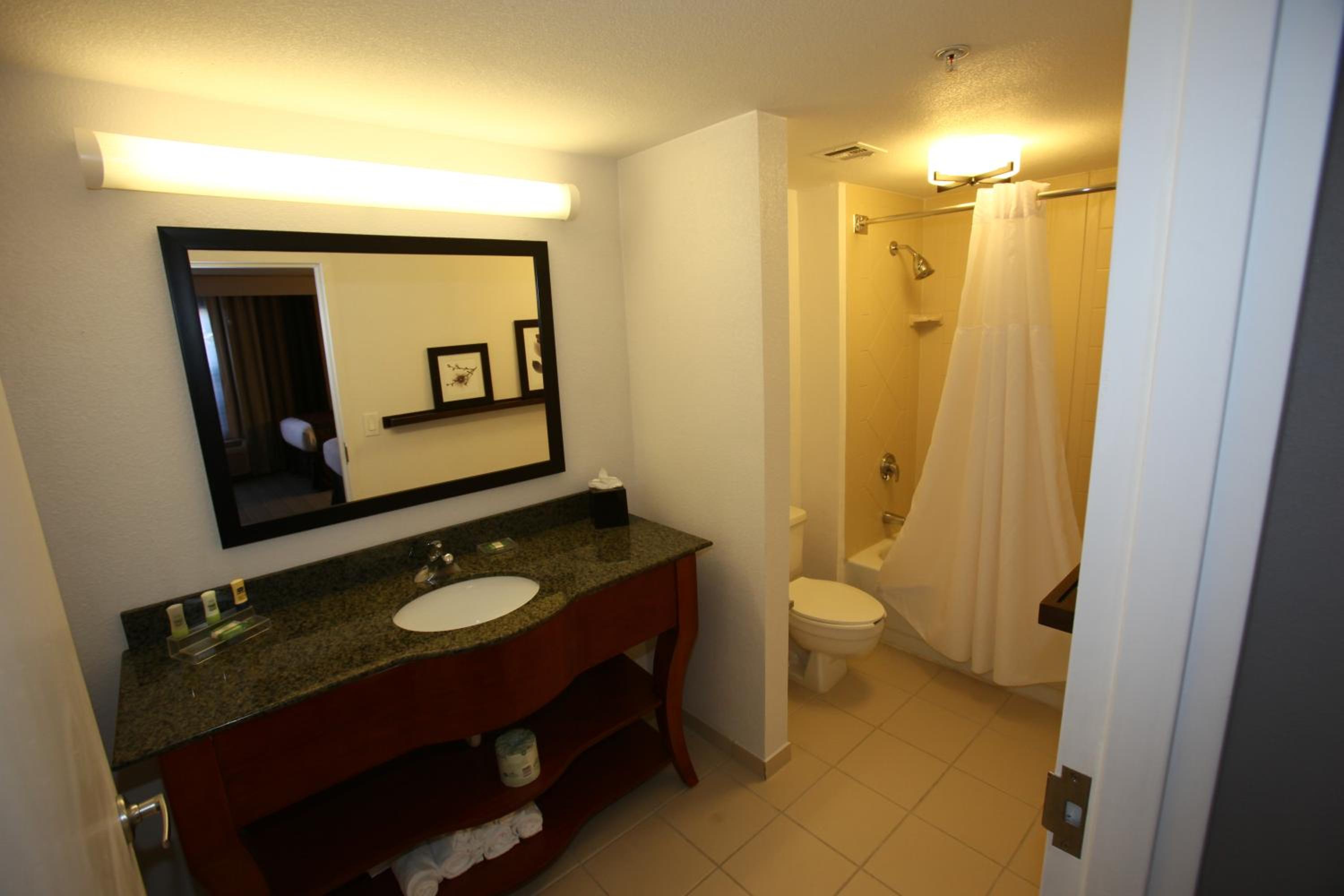 King Suite - Disability Access - Photo 4