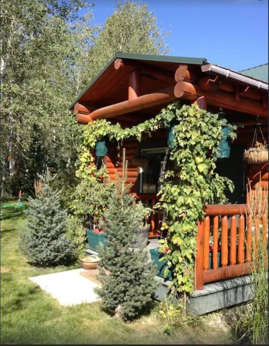 Three-Bedroom House photo 2