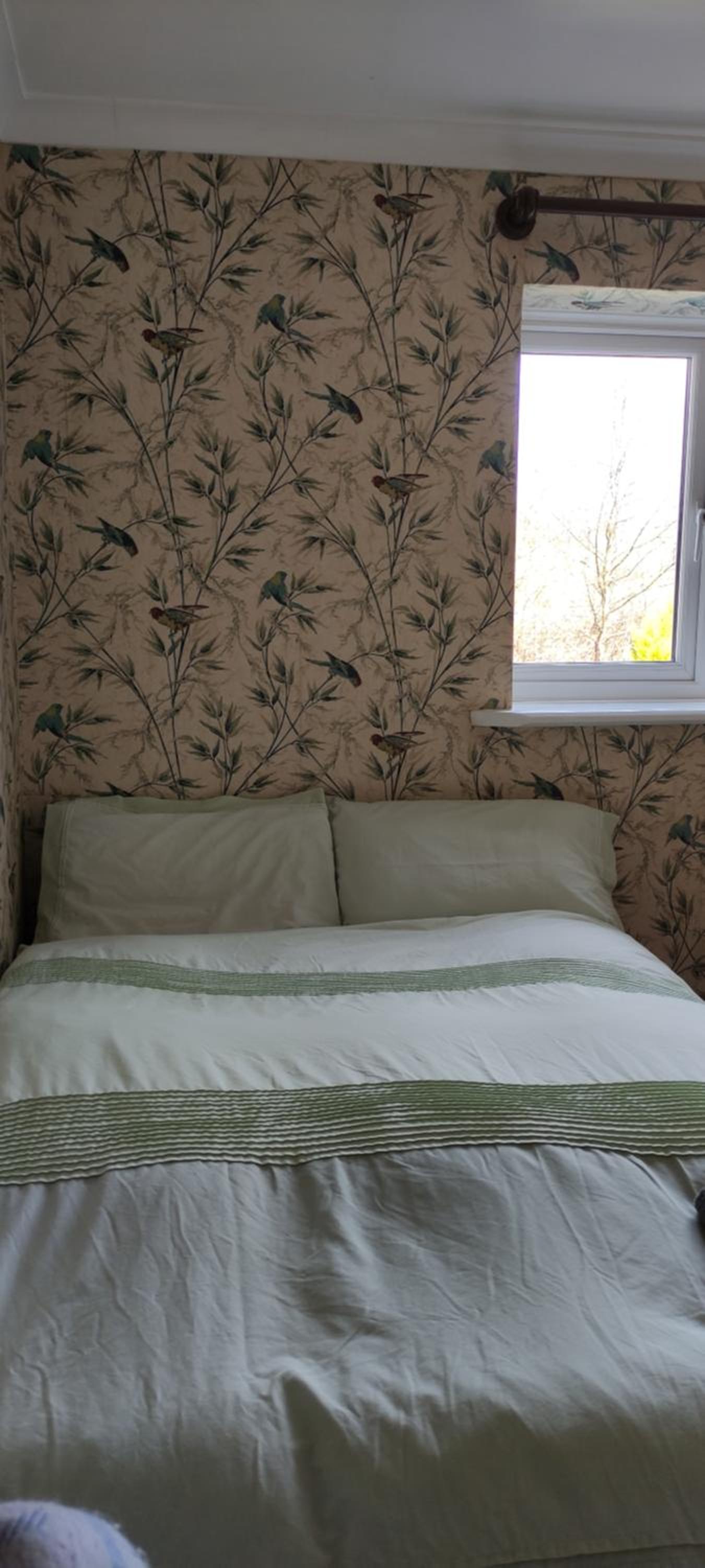 Budget Double Room photo 1