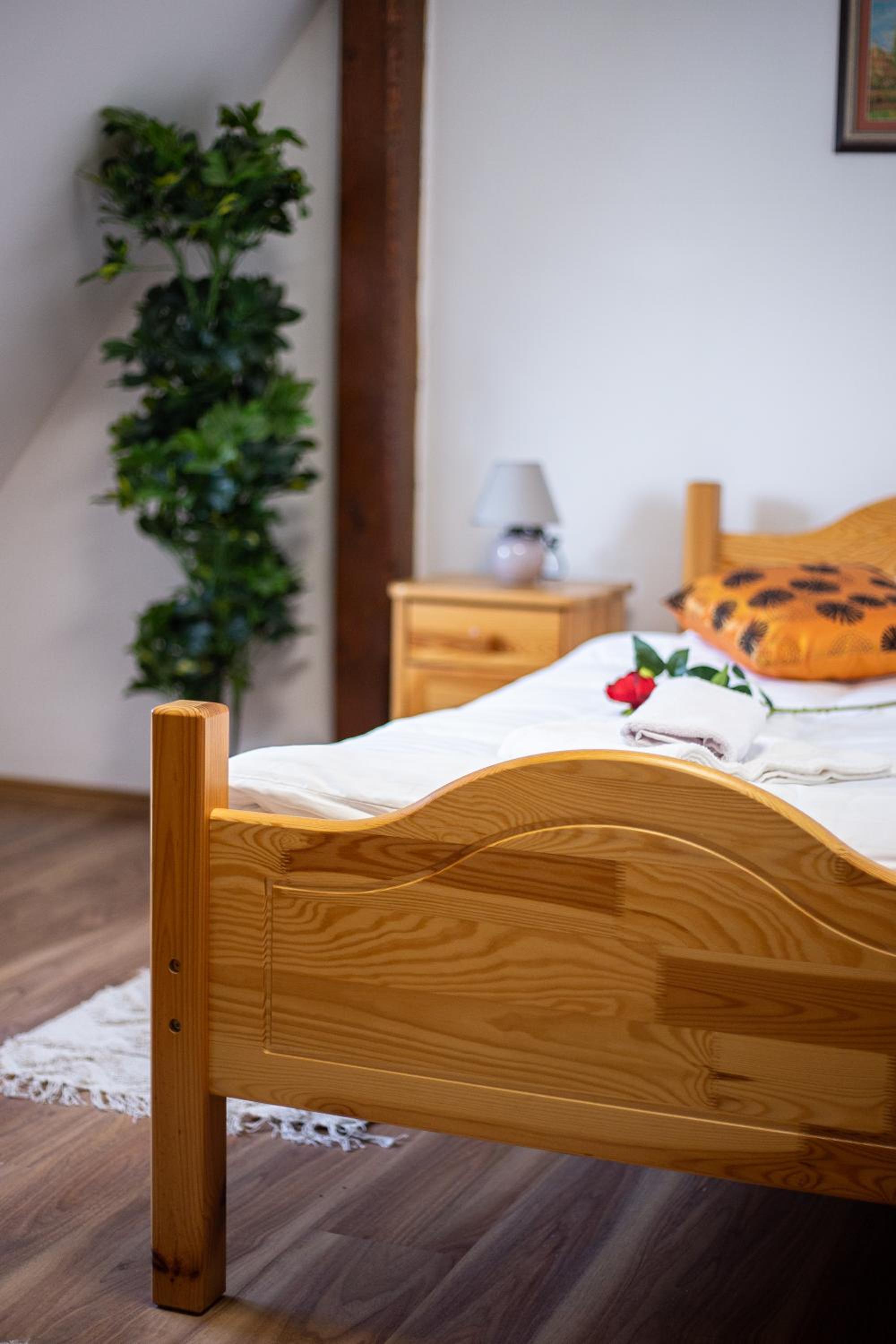 Single Room photo 2