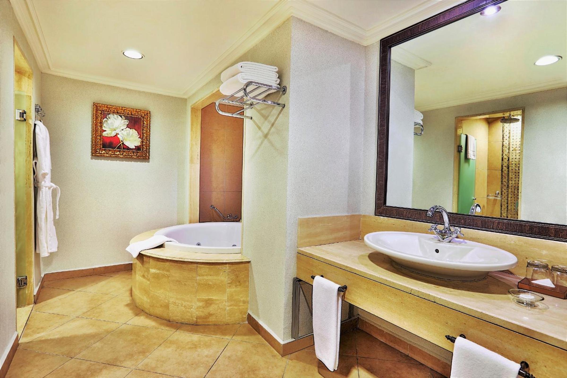 Deluxe Suite - Photo 8