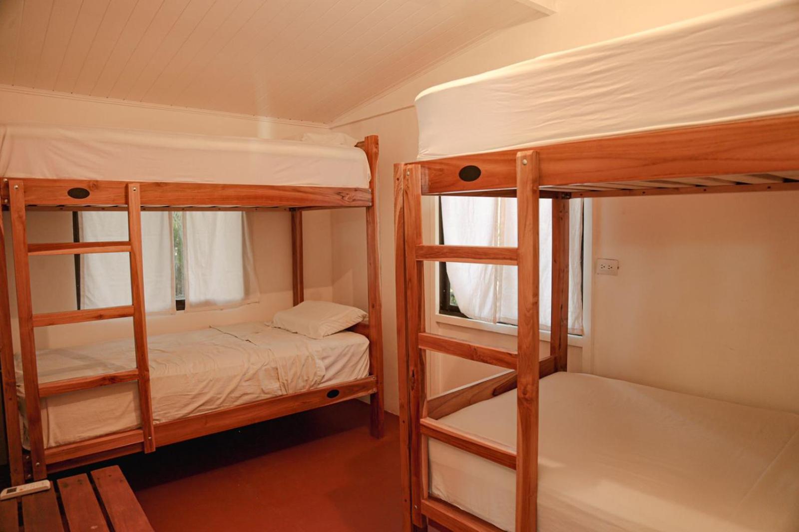 Single Bed in Mixed Dormitory Room