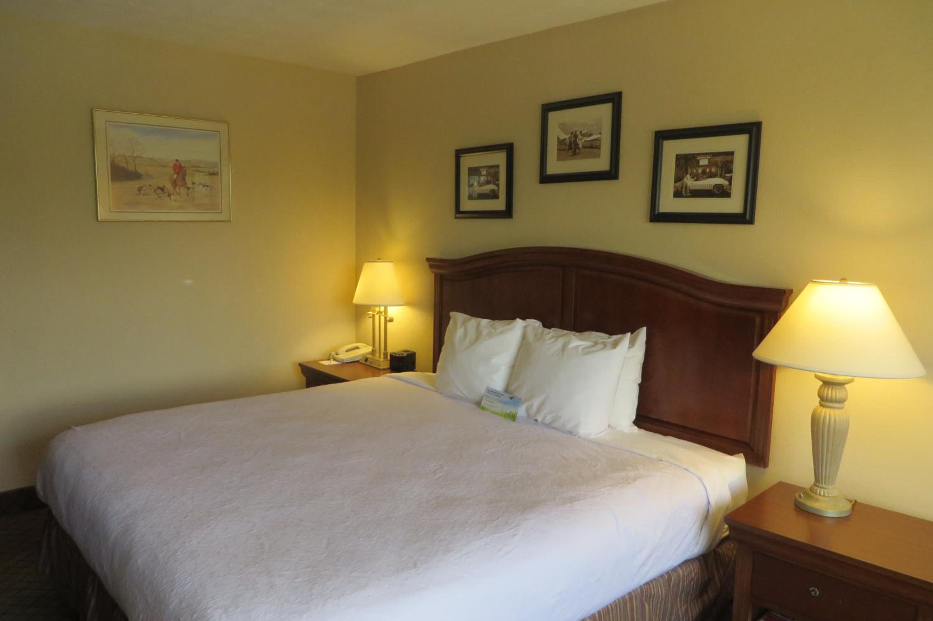 Superior King Room - Non-Smoking - Photo 1