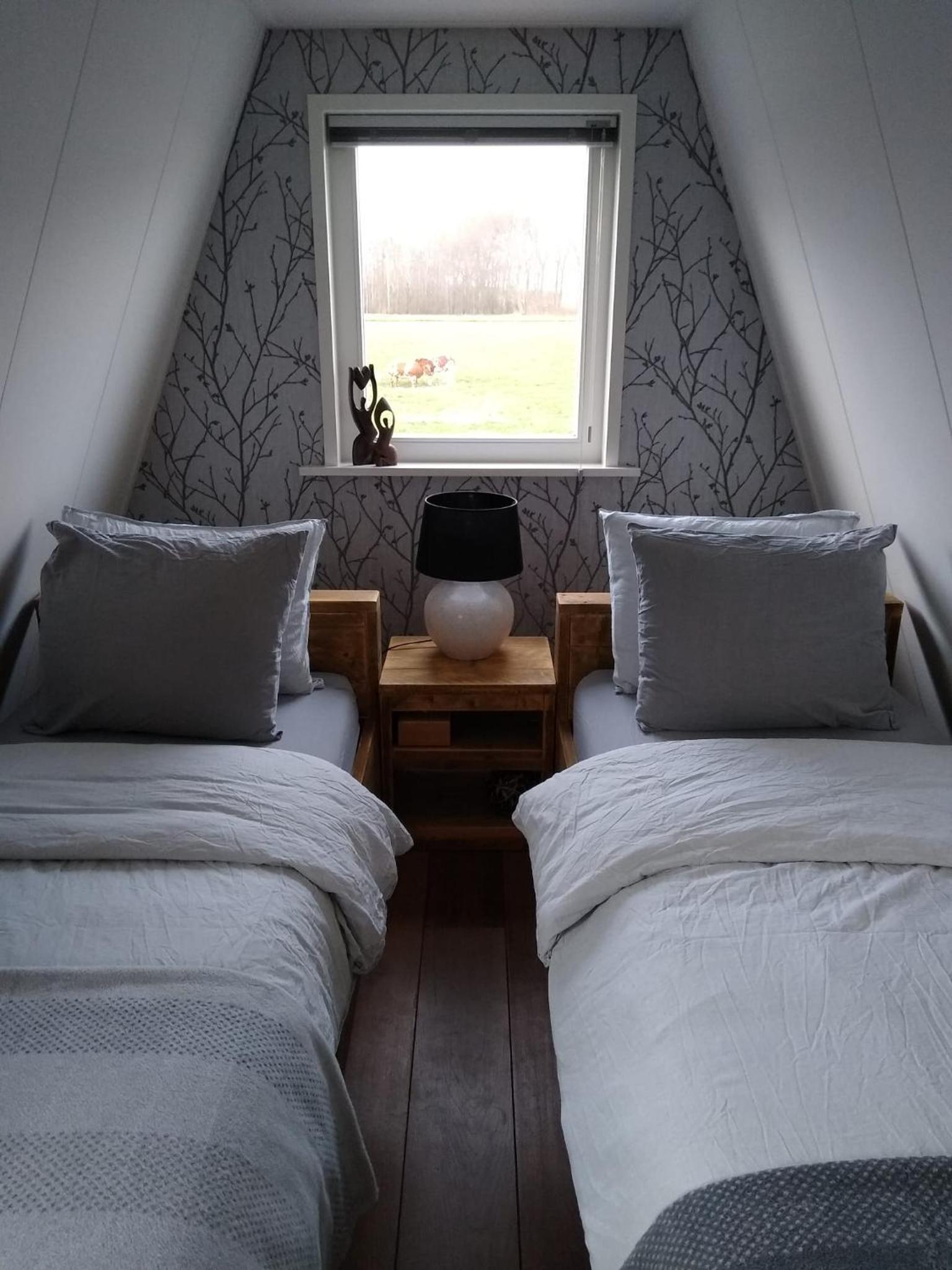 Deluxe Double or Twin Room photo 2