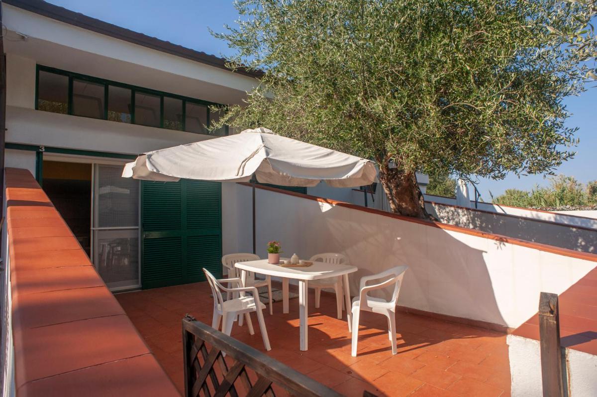 Apartment with Terrace photo 2