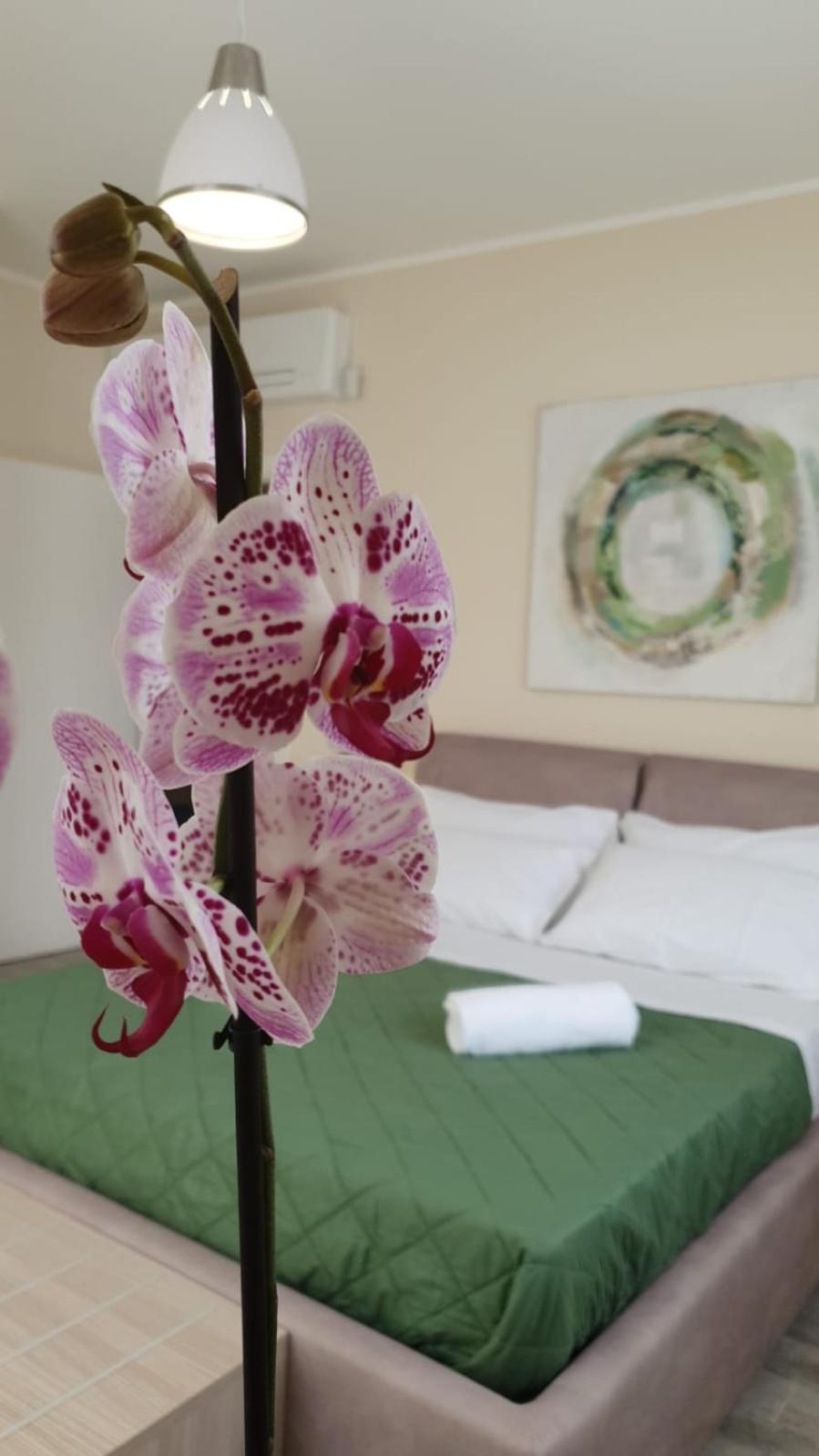 Deluxe Double Room with Balcony photo 3