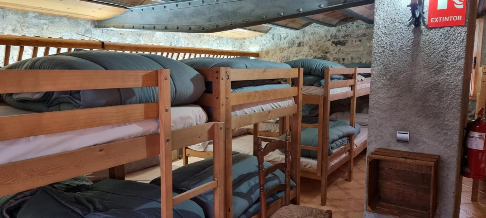Bunk Bed In Mixed Dormitory Room photo 3