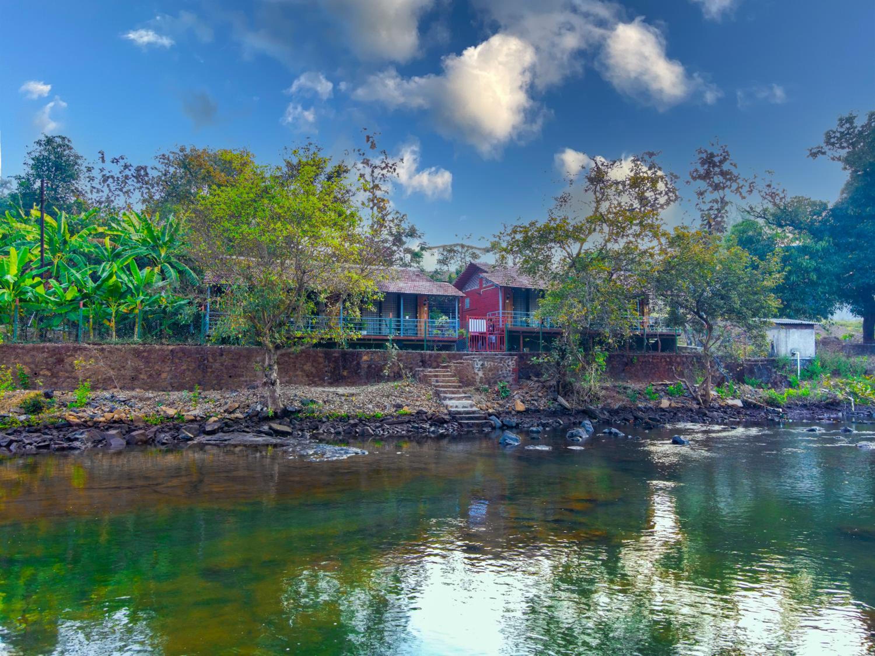 River View Cottage - Photo 15