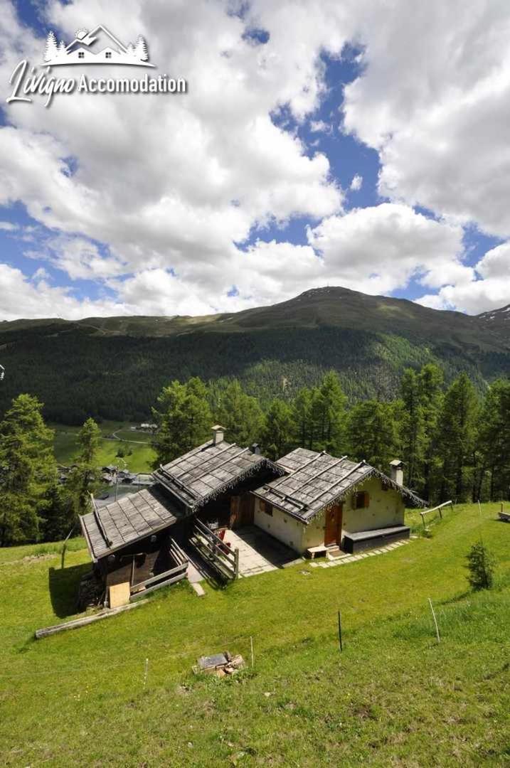 Two-Bedroom Chalet photo 2
