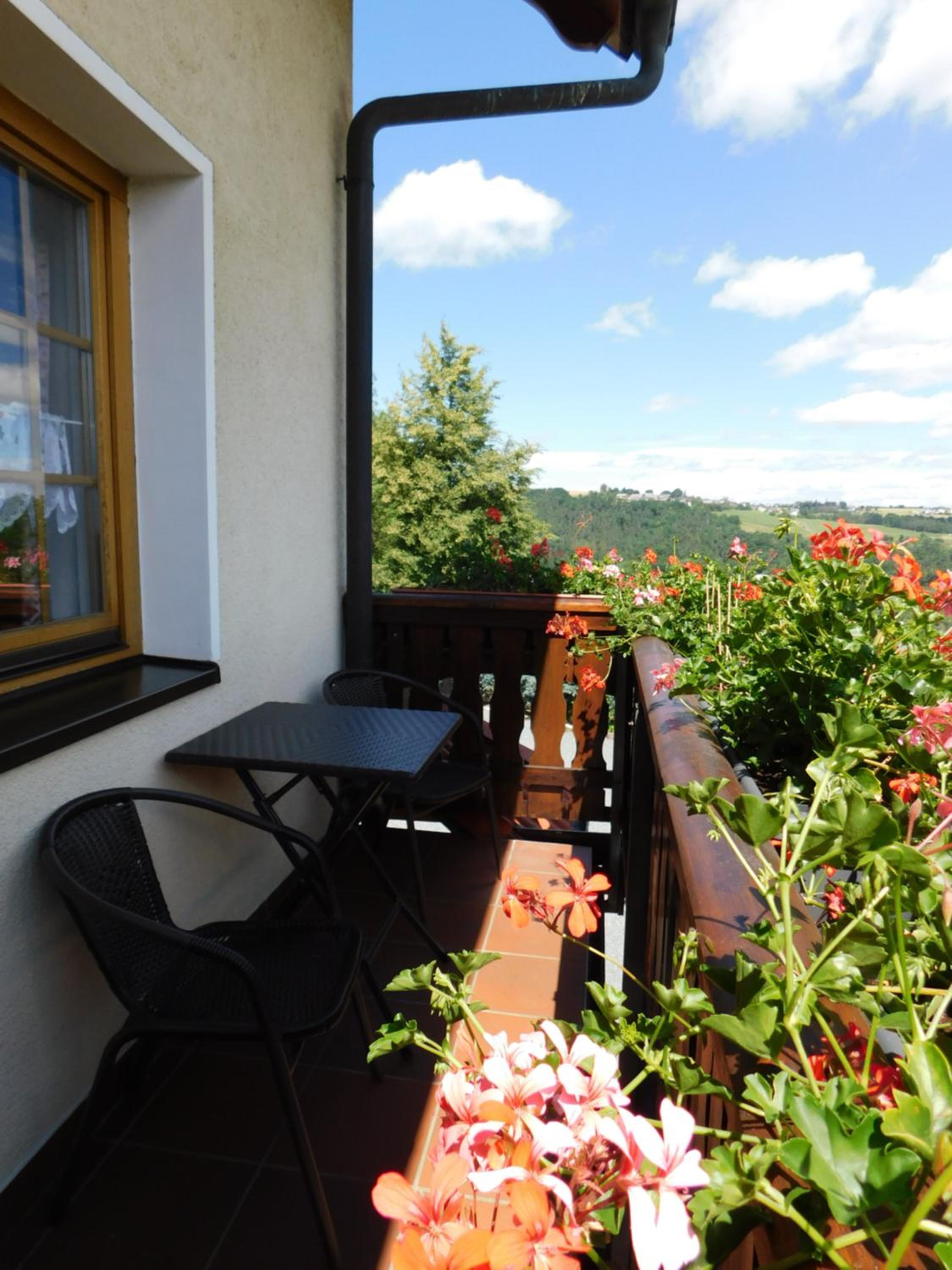 Double Room with Balcony photo 3