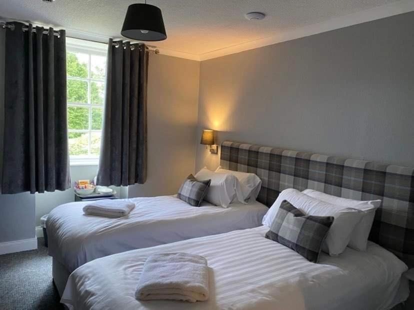 King or Twin Room photo 1