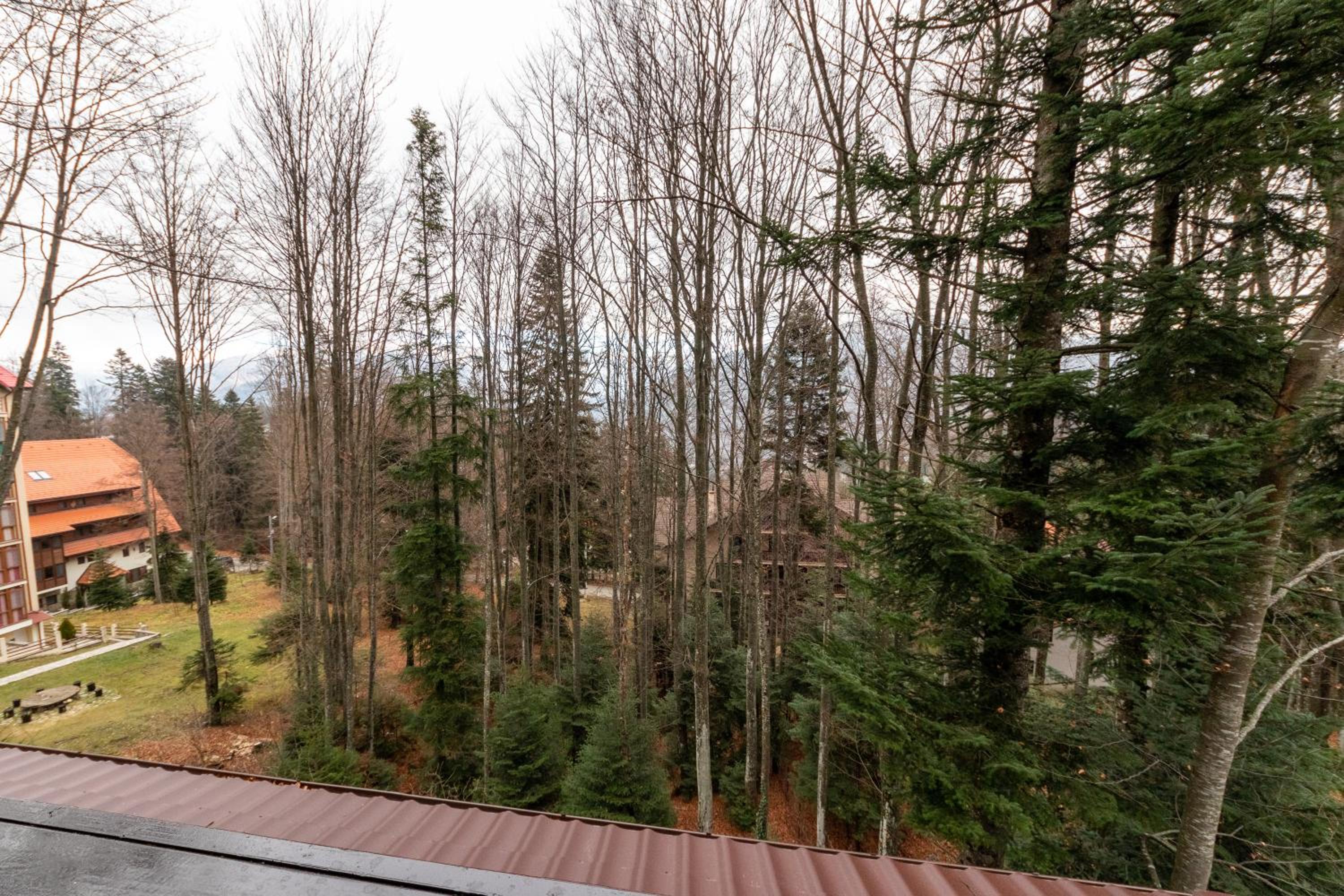Double Room with Mountain View - Photo 4