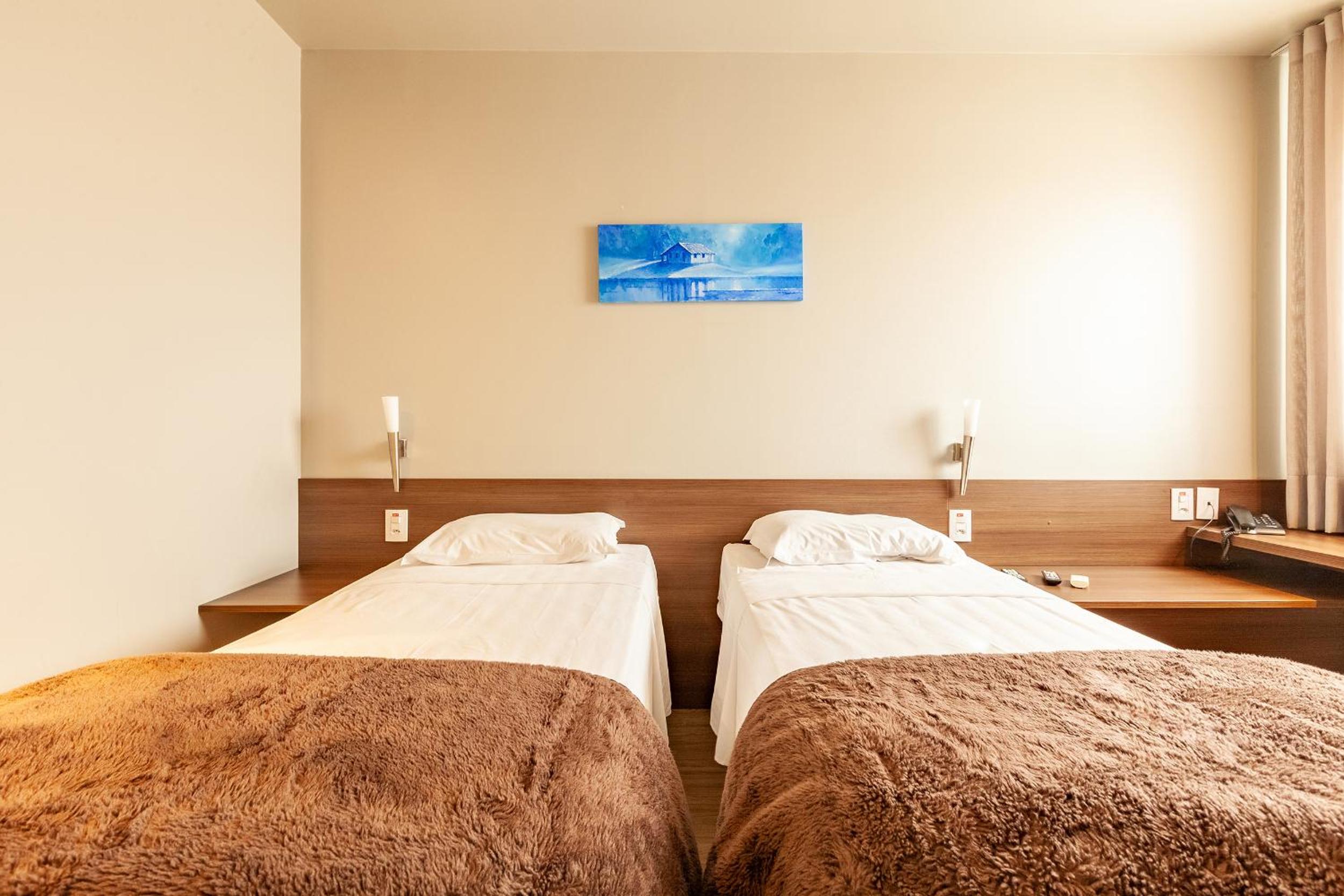 Deluxe Double or Twin Room photo 1
