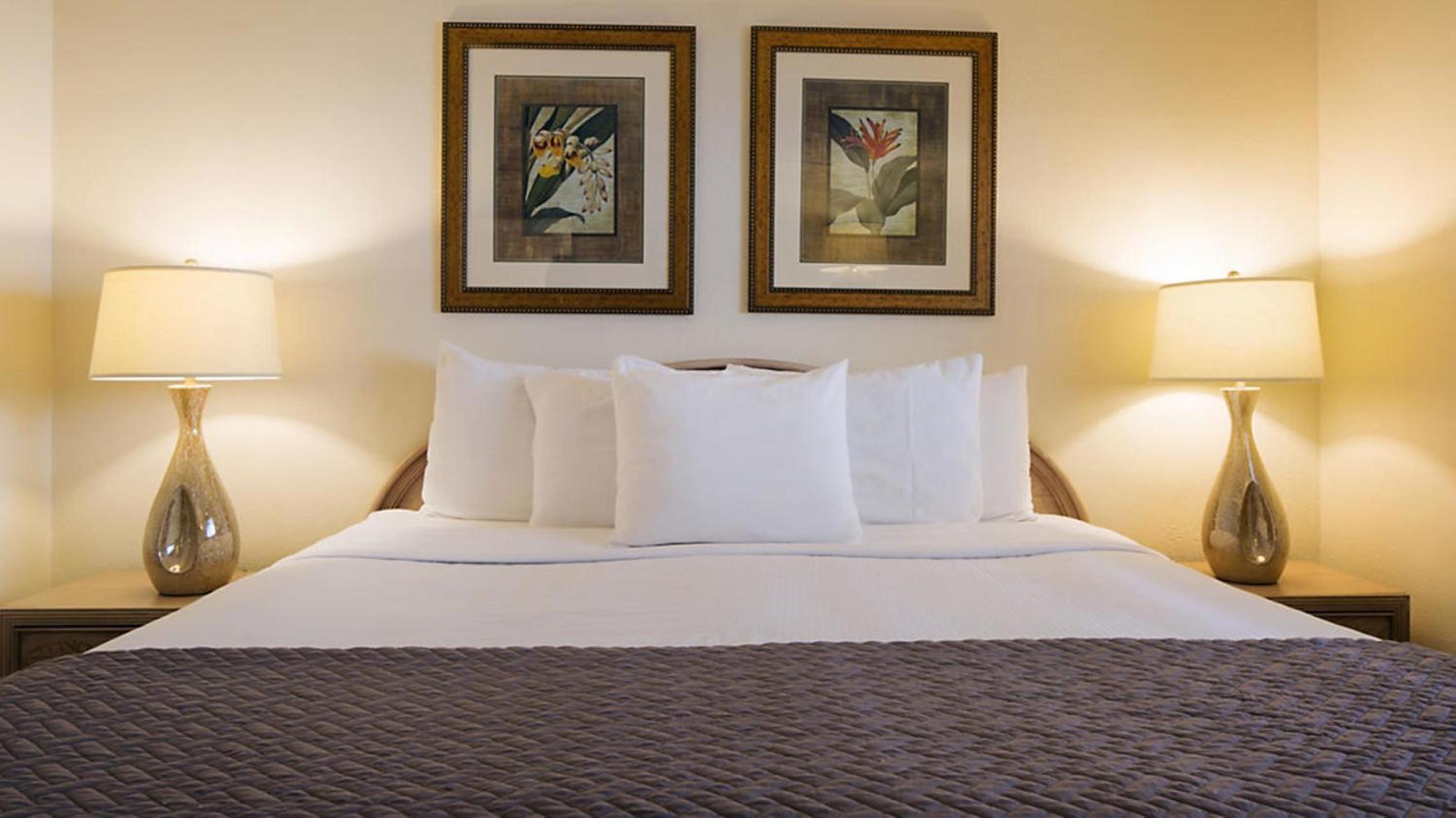 One-Bedroom Suite photo 1