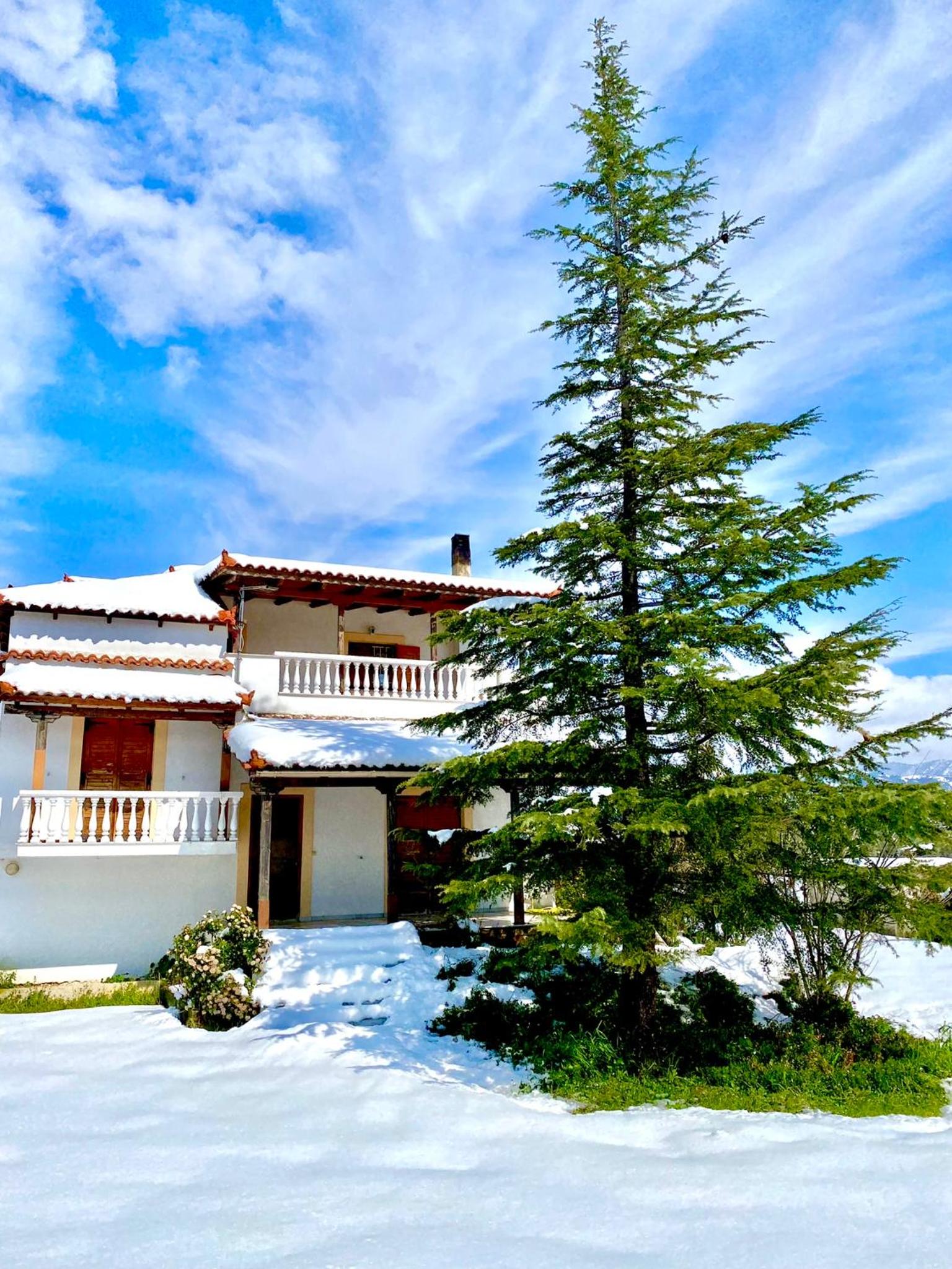 Villa photo 2