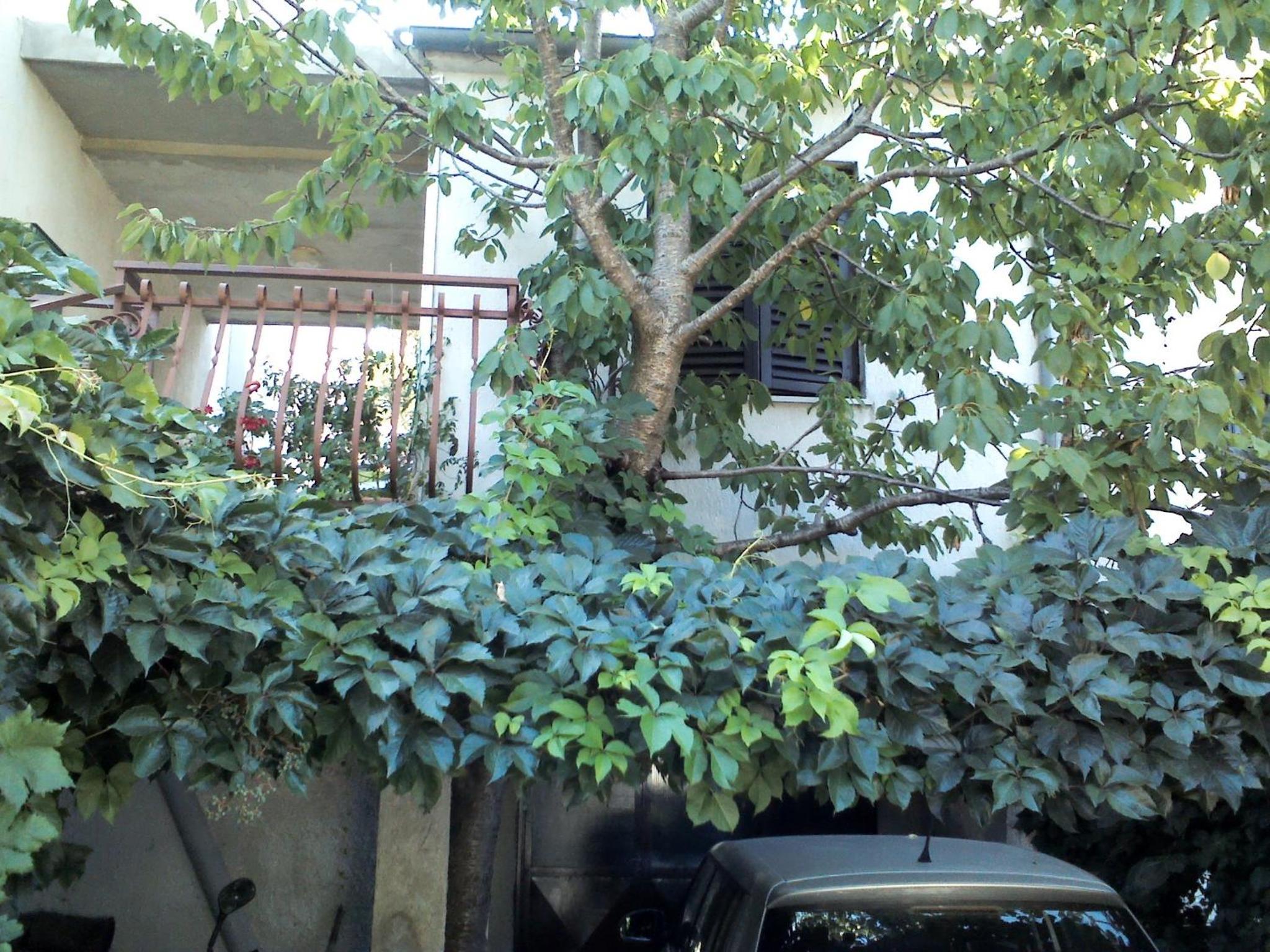 One-Bedroom Apartment with Terrace - Photo 4