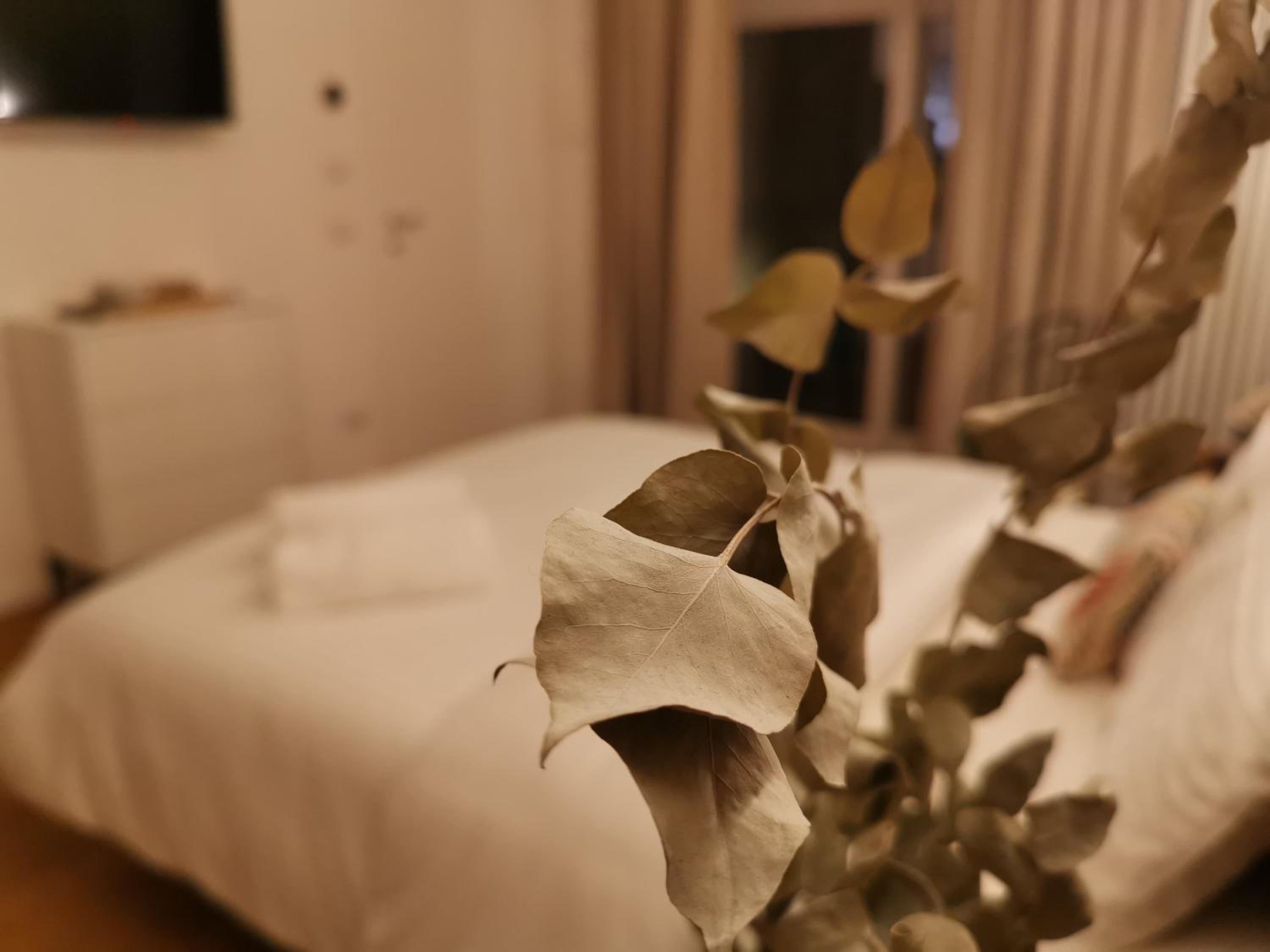 Deluxe Double Room with Balcony photo 2